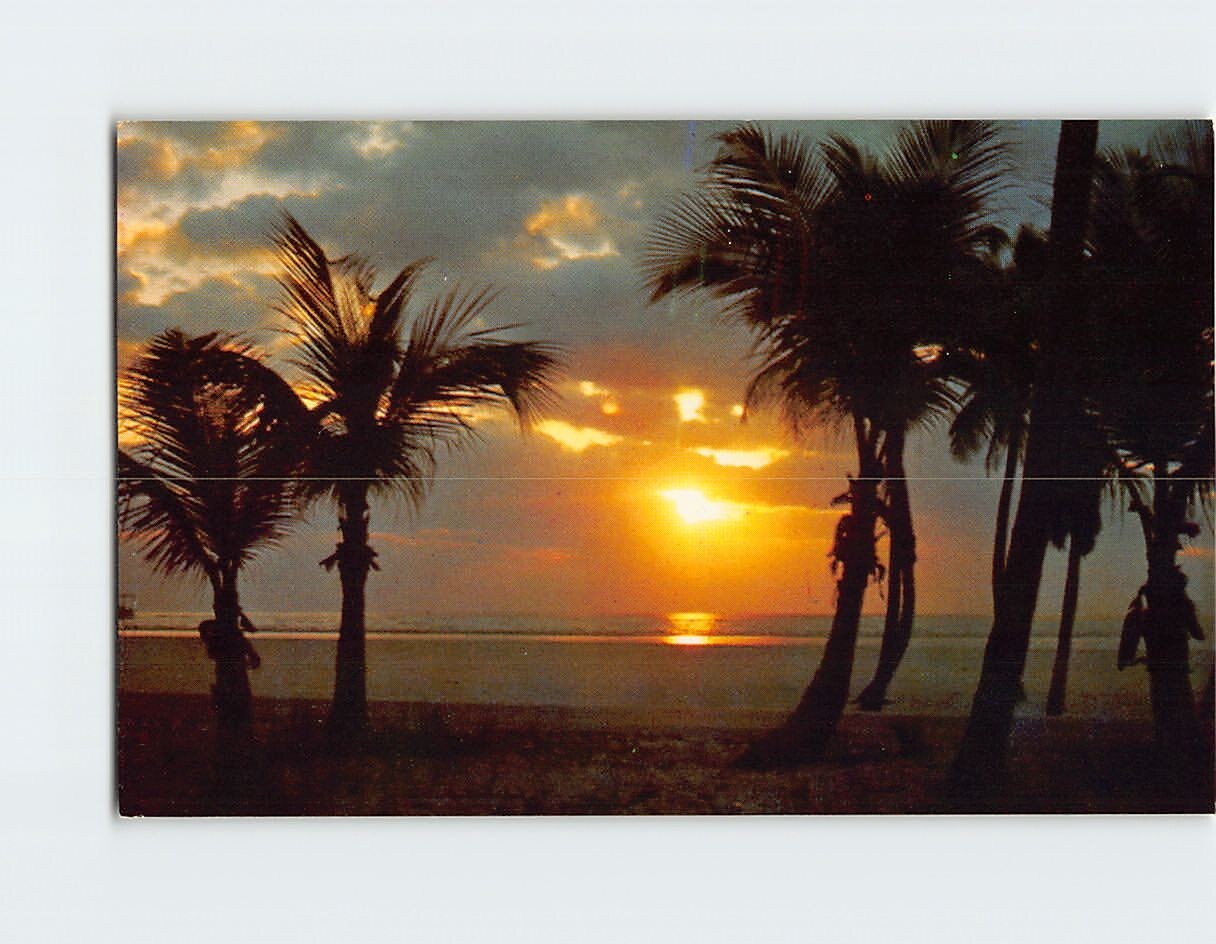 Postcard Golden Sunrise Scene