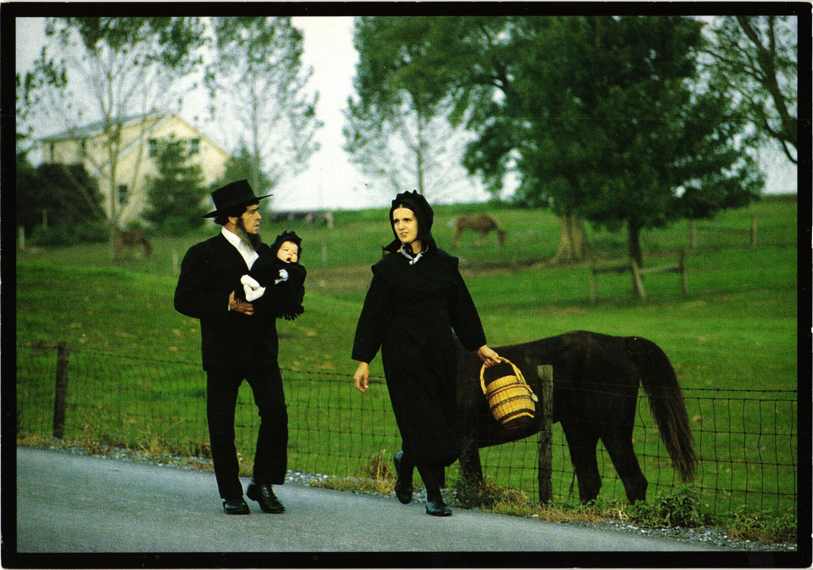 Amish Seasons - Young Amish Family Postcard Unposted Amish Seasons Collection