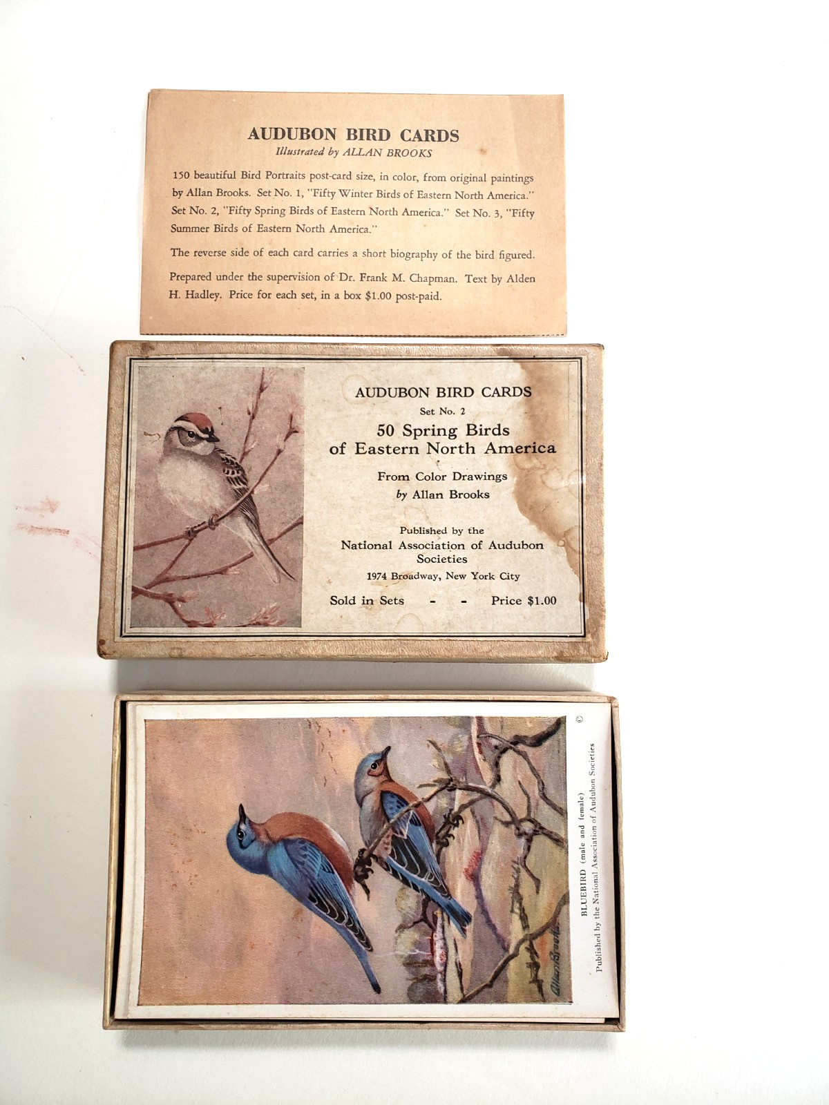 Vintage Audubon 50 SPRING BIRDS NORTH AMERICA Complete box set Allan Brooks