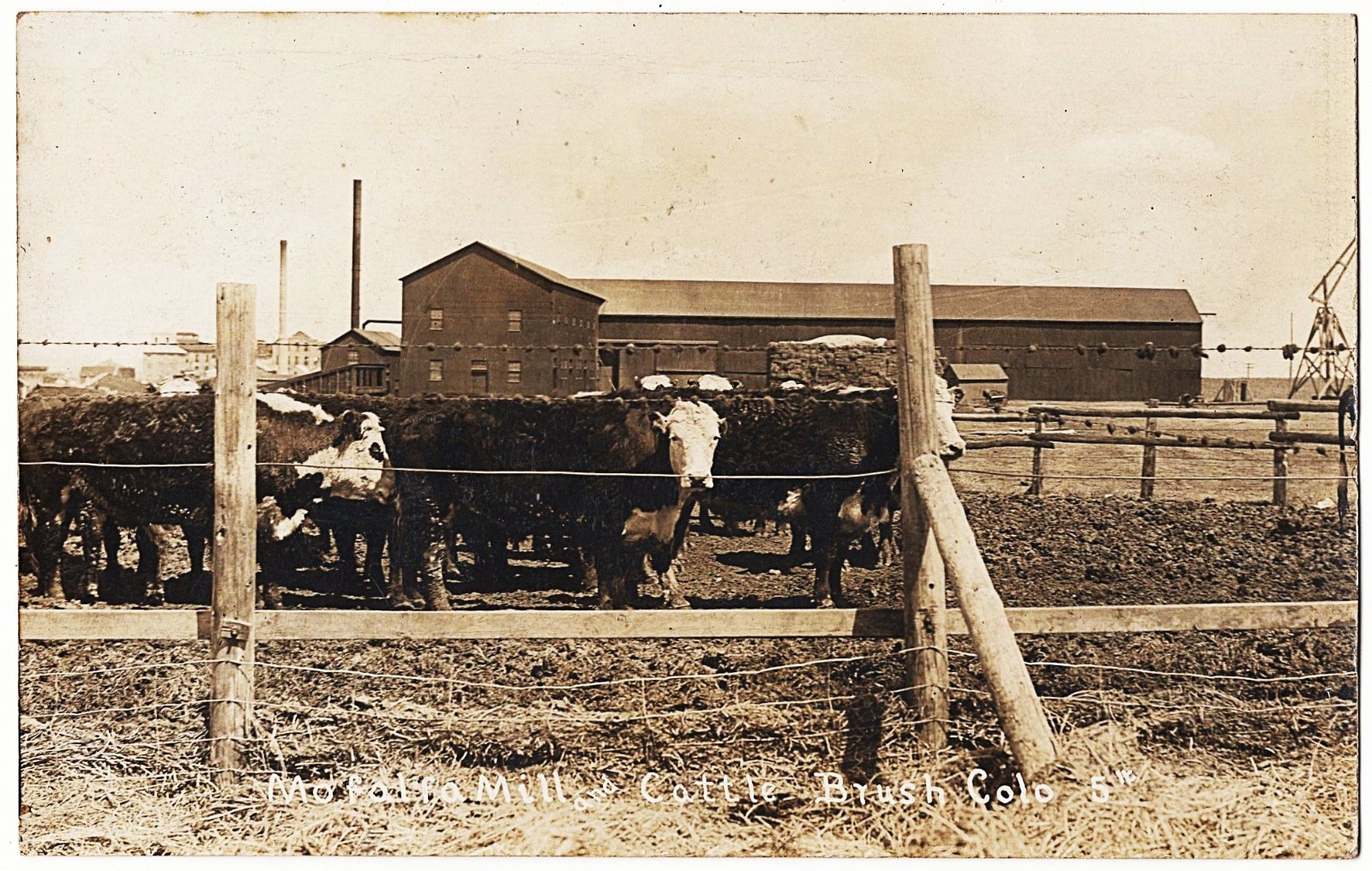 real photo Brush CO - Mofalfa mill And Cattle mailed 1909 antique postcard RPPC