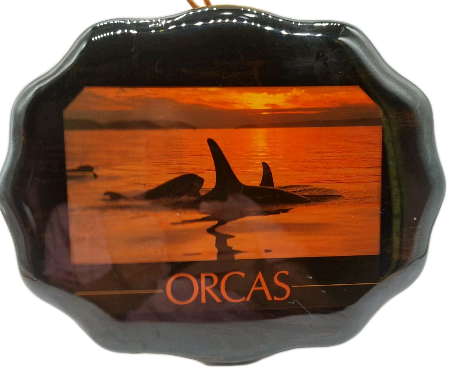 Orca Whale Picture Wood Art Vintage Wall Hanging 7x9 Dencraft Read Orca Whale Picture Wood Art Vintage Wall Hanging 7x9 Dencraft Read