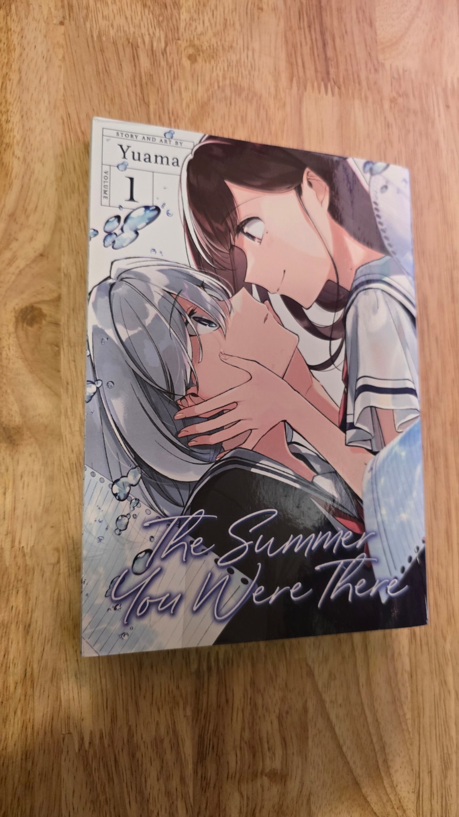 The Summer You Were There Volume 1 Manga English