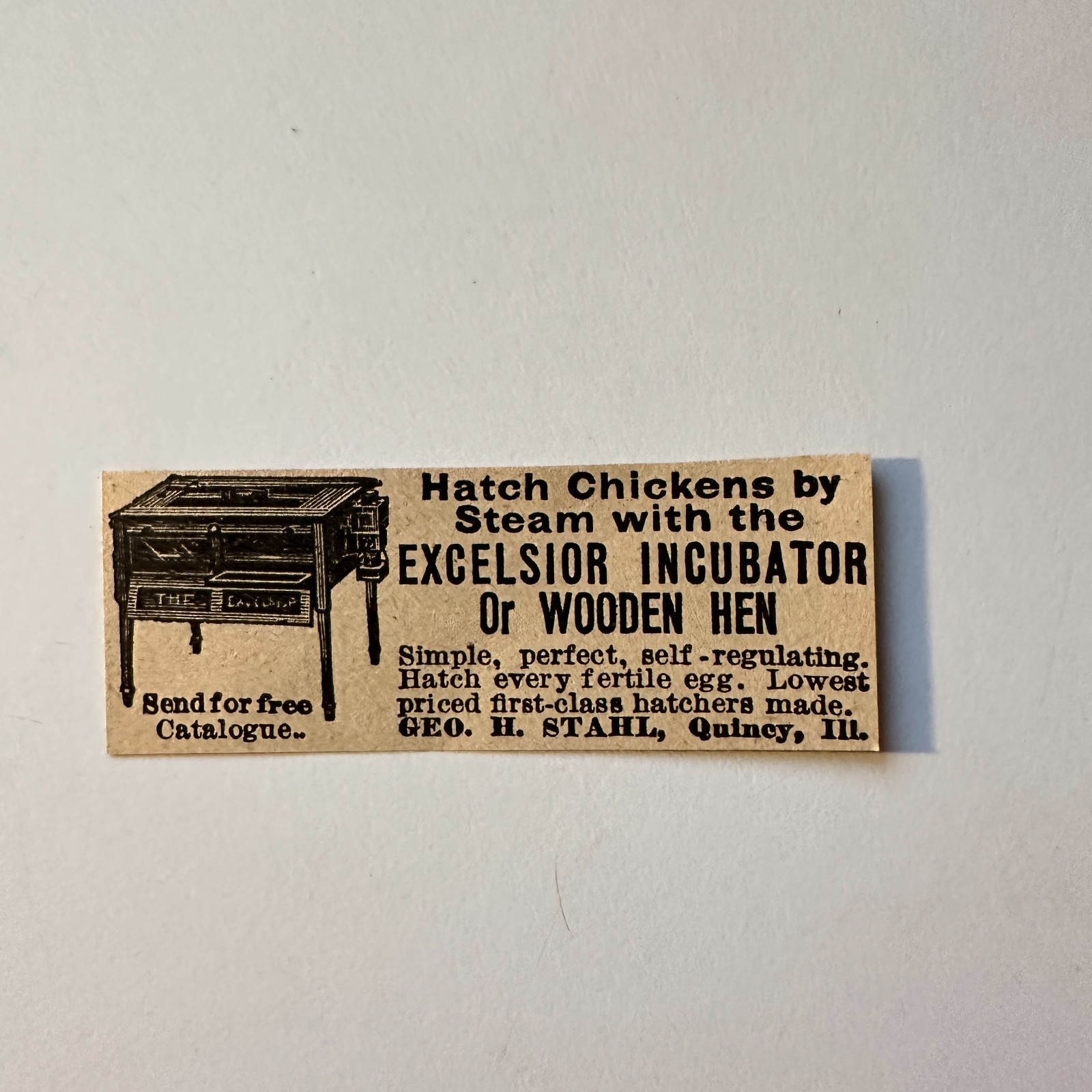 Geo H Stahl Excelsior Incubator Wooden Hen Quincy IL 1906 Minneapolis Ad 5AL1-S4