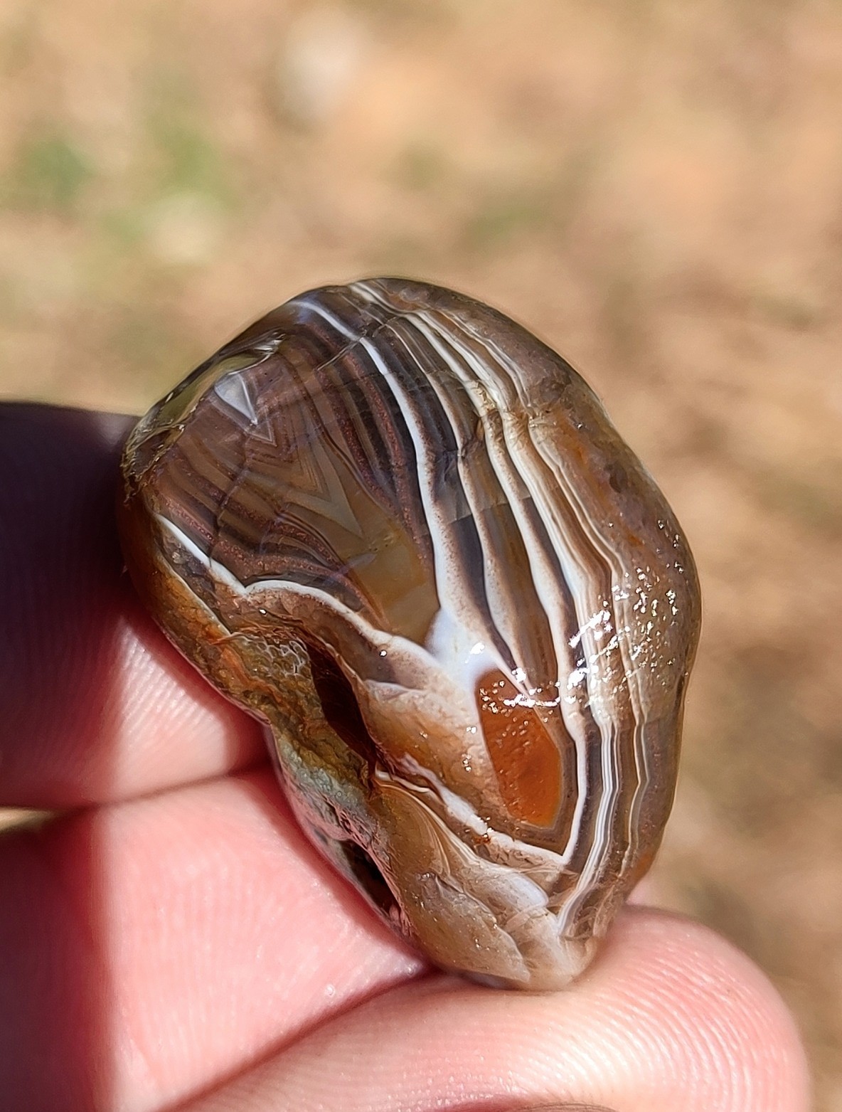 Lake Superior Agate, .8oz Beautiful Mixed Color Display Agate 