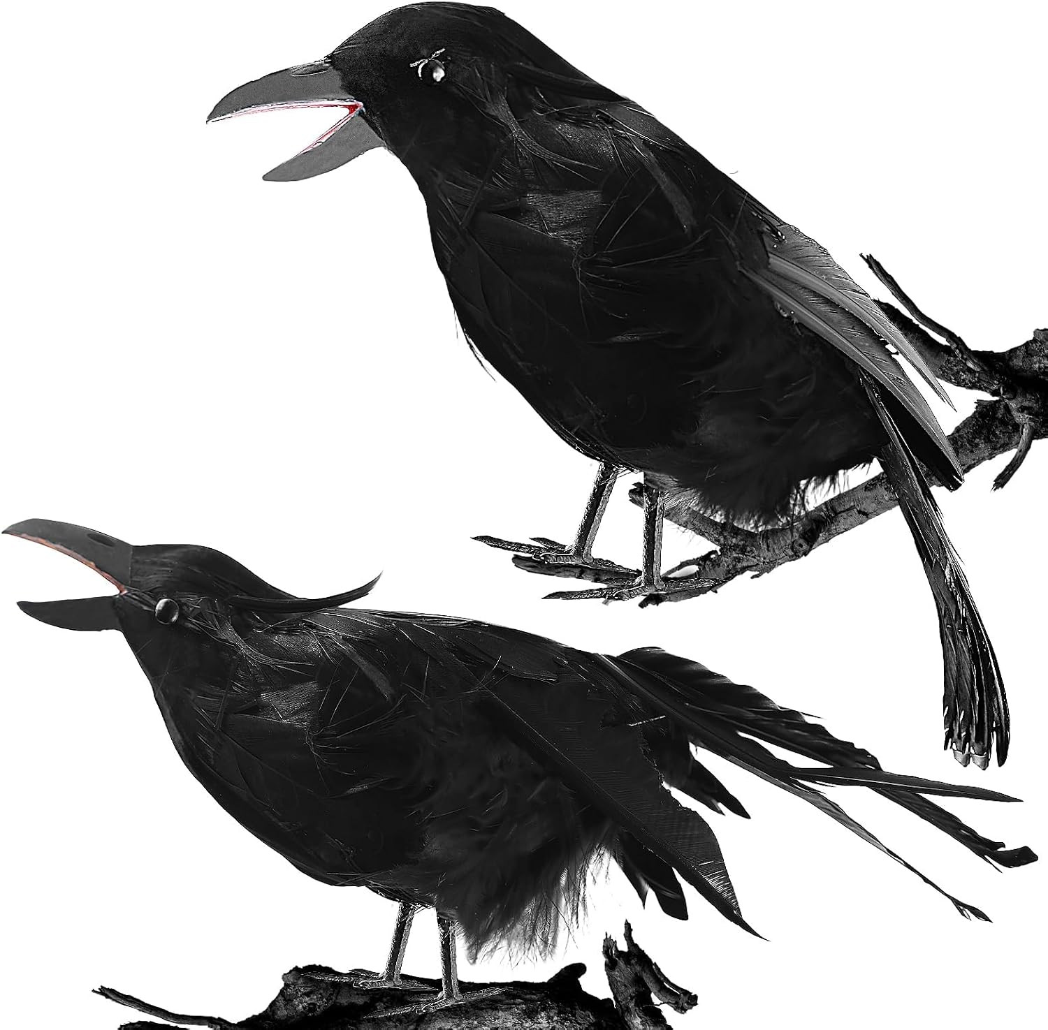 Crows Halloween Decorations Realistic Black Crows, Fake Crow Decor Spooky