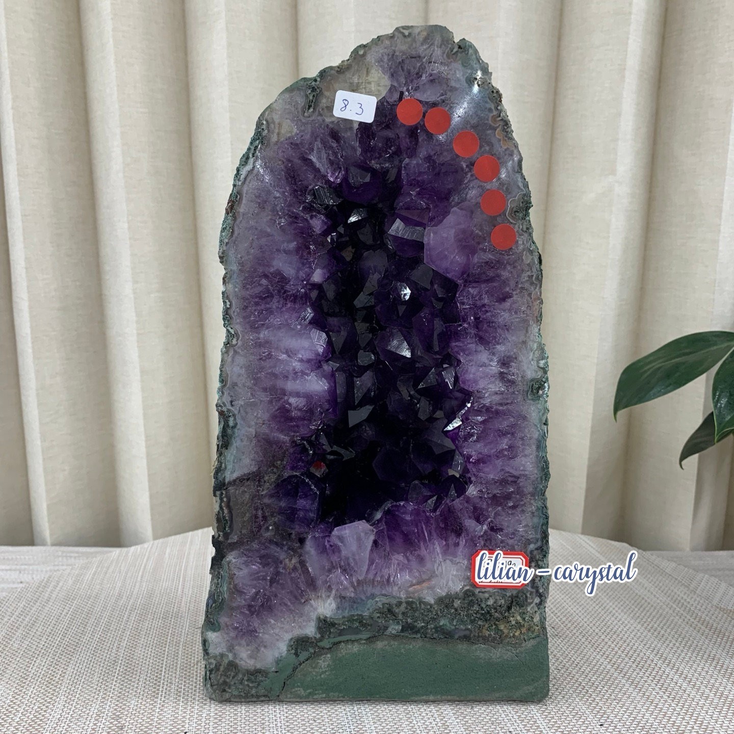 18.2LB Natural Amethyst Cathedral English Cluster Crystal Specimen Healing