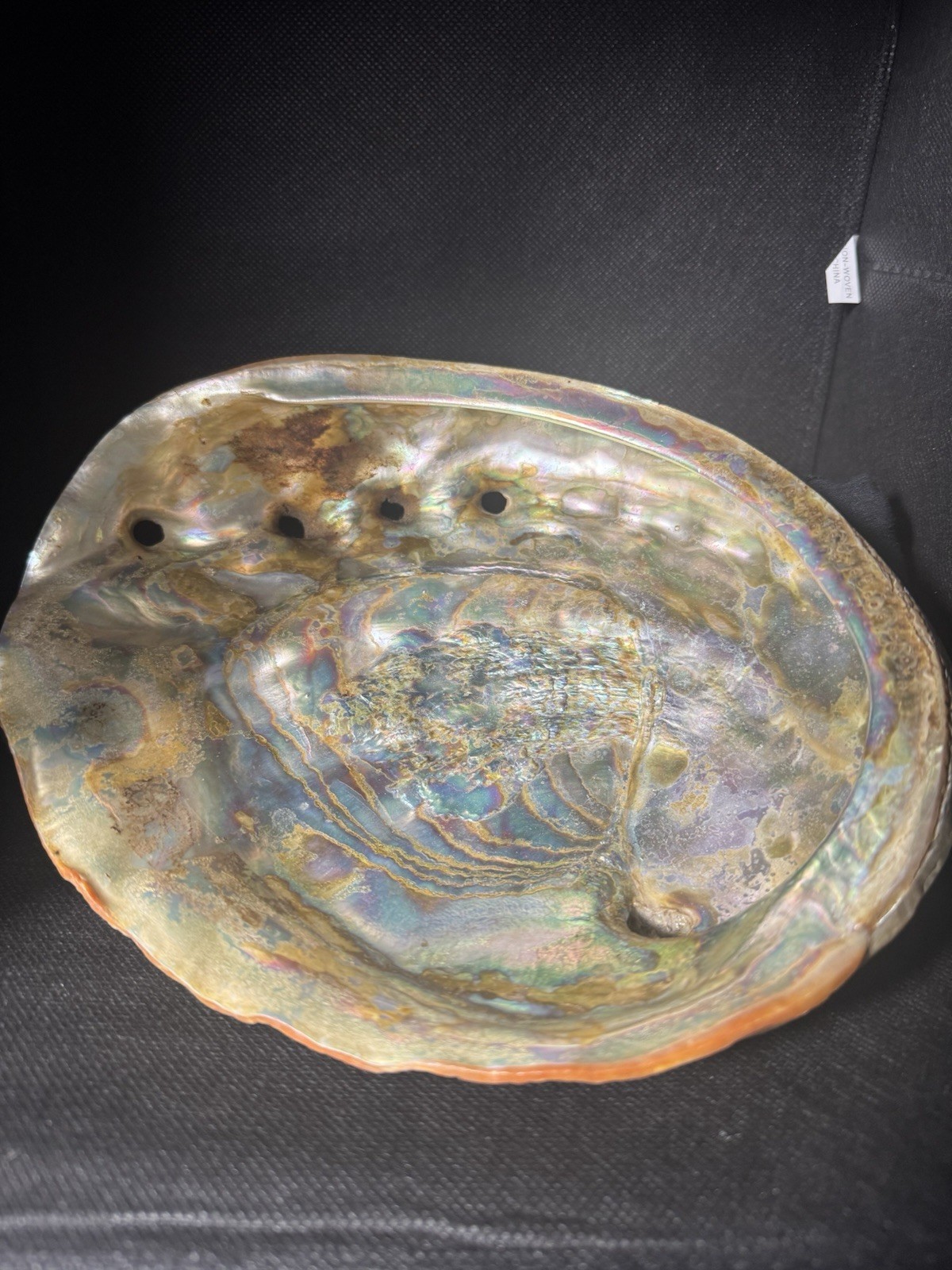 Vintage Large Abalone Shell Dish Gold Rainbow Iridescence Smudge Pot  Decor