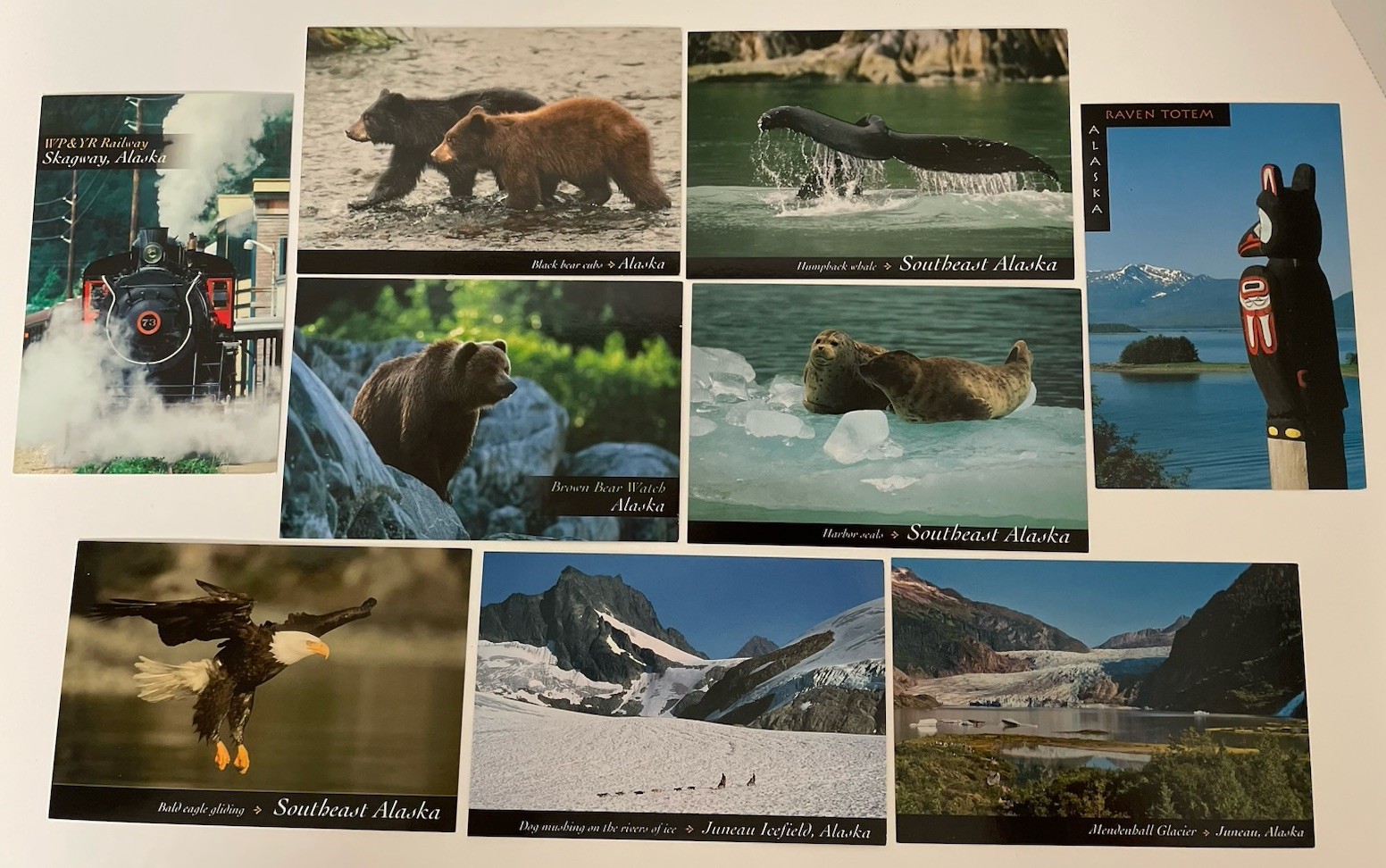 9 Alaska Postcard LOT Raven Totem Eagle Bear Seals Whale Glacier Train Dog Mush