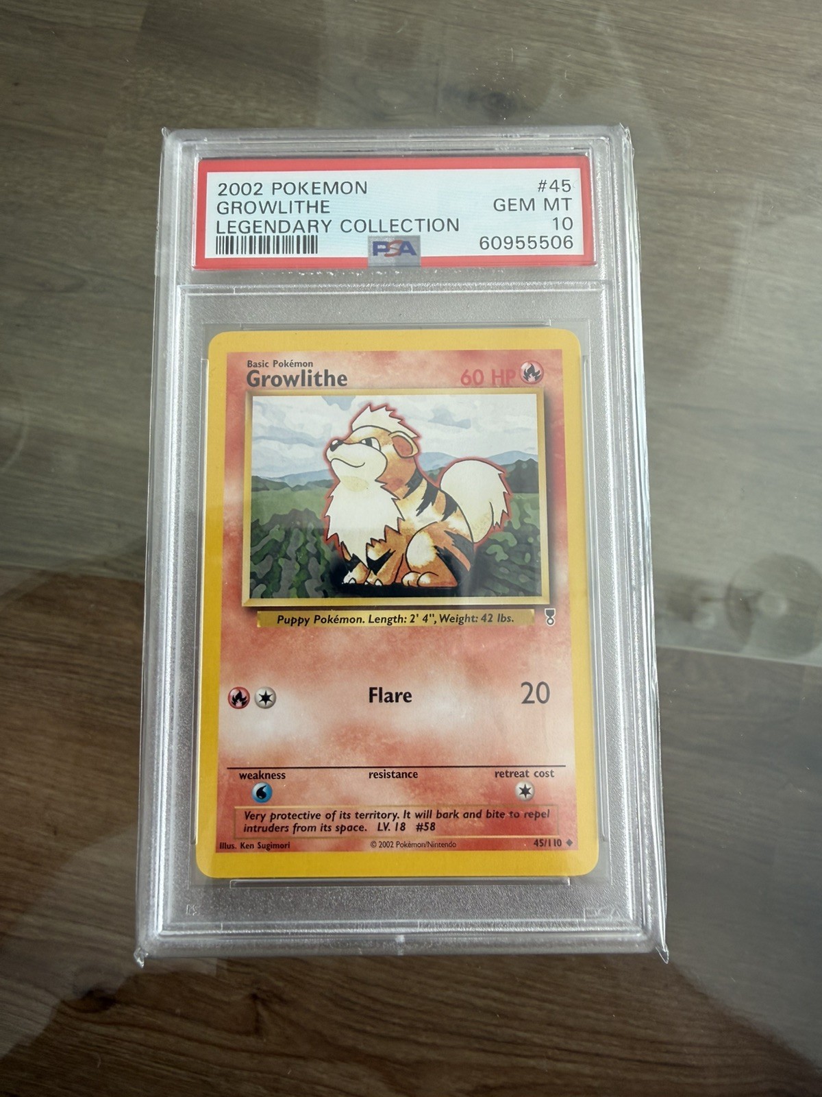 PSA 10 Growlithe 28/102 Shadowless Base Set 1999 Pokemon TCG #28 