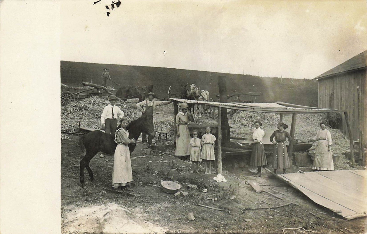 RPPC Vintage Farm Family Harvest Scene w/ Donkey Warren M. c1910 Real Photo