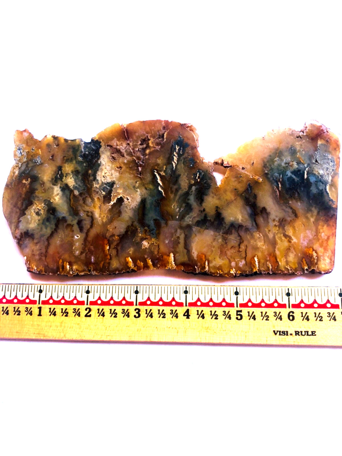 Graveyard Plume Agate Museum Grade Collectors Slab Oregon 202 Grams 