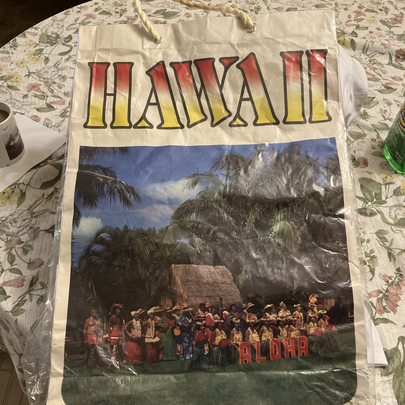 VINTAGE LARGE HAWAII SHOPPING TOTE BAG PLASTIC COVERED PAPER WITH HANDLES X 3