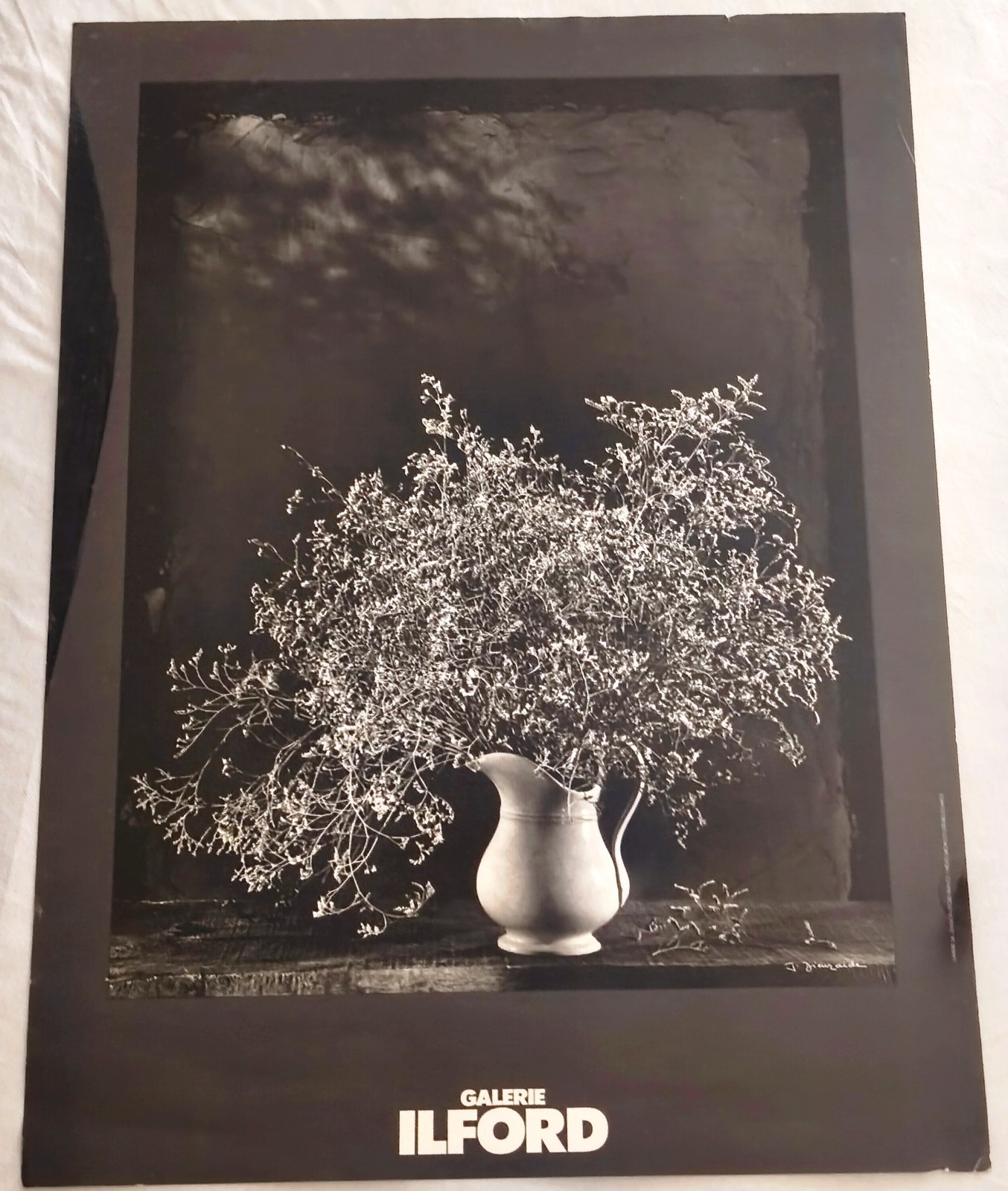 ​🔥 Rare Jean Dieuzaide Photo Poster - La Saladelle (1978) - Galerie ILFORD -