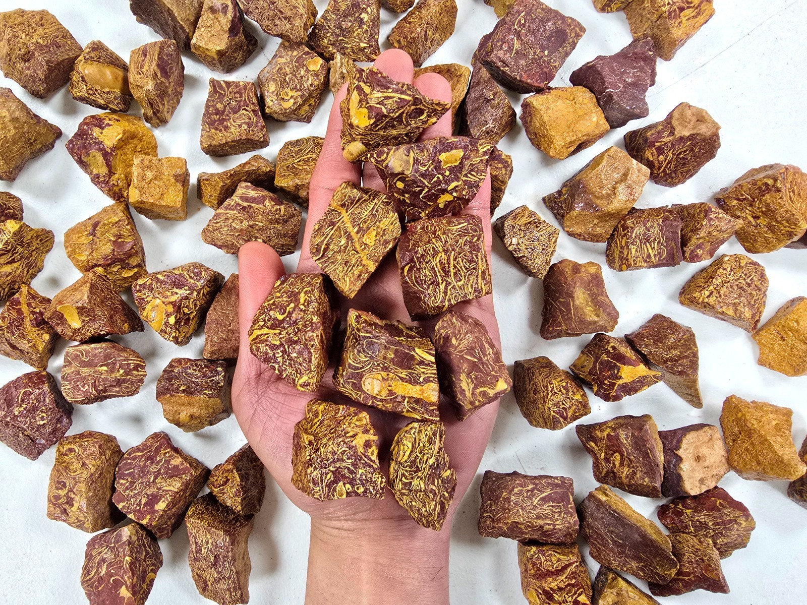 Calligraphy Stone AKA Sea Fossil Jasper Raw Rough Tumbling Crystals Bulk Lot