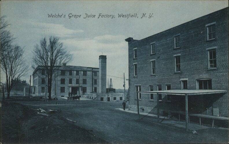 Westfield, NY New York Welche's Grape Juice Factory (Welch's) Antique Postcard
