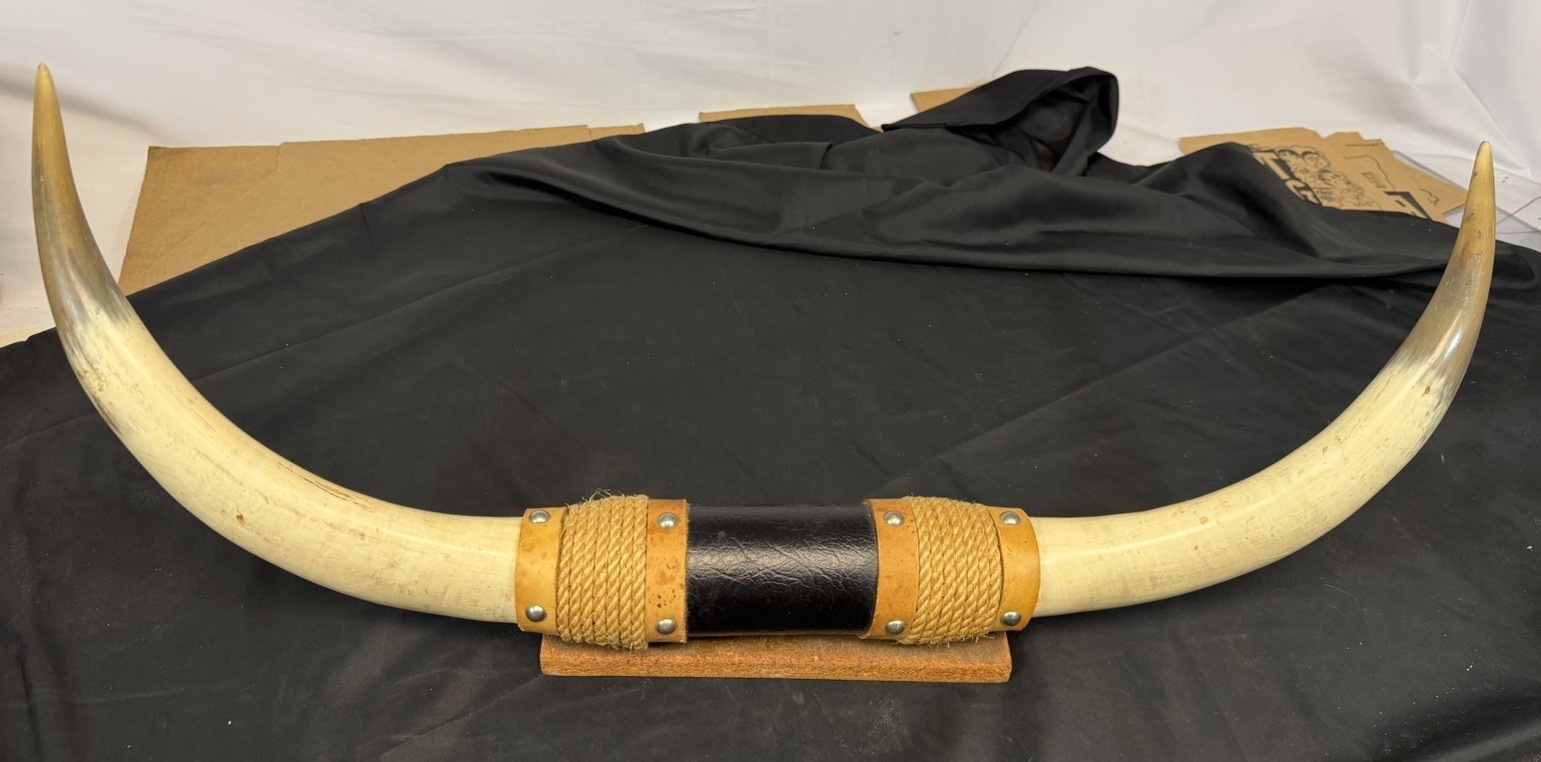 Vintage ANTIQUE MOUNTED STEER BULL HORNS 28 Inches Long