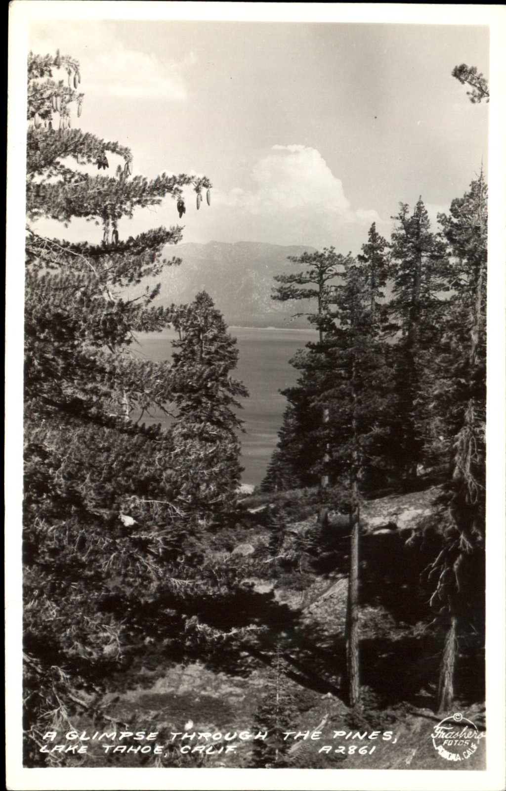 RPPC View through pine trees Lake Tahoe California Frashers ~ EKKP 1904-1950s