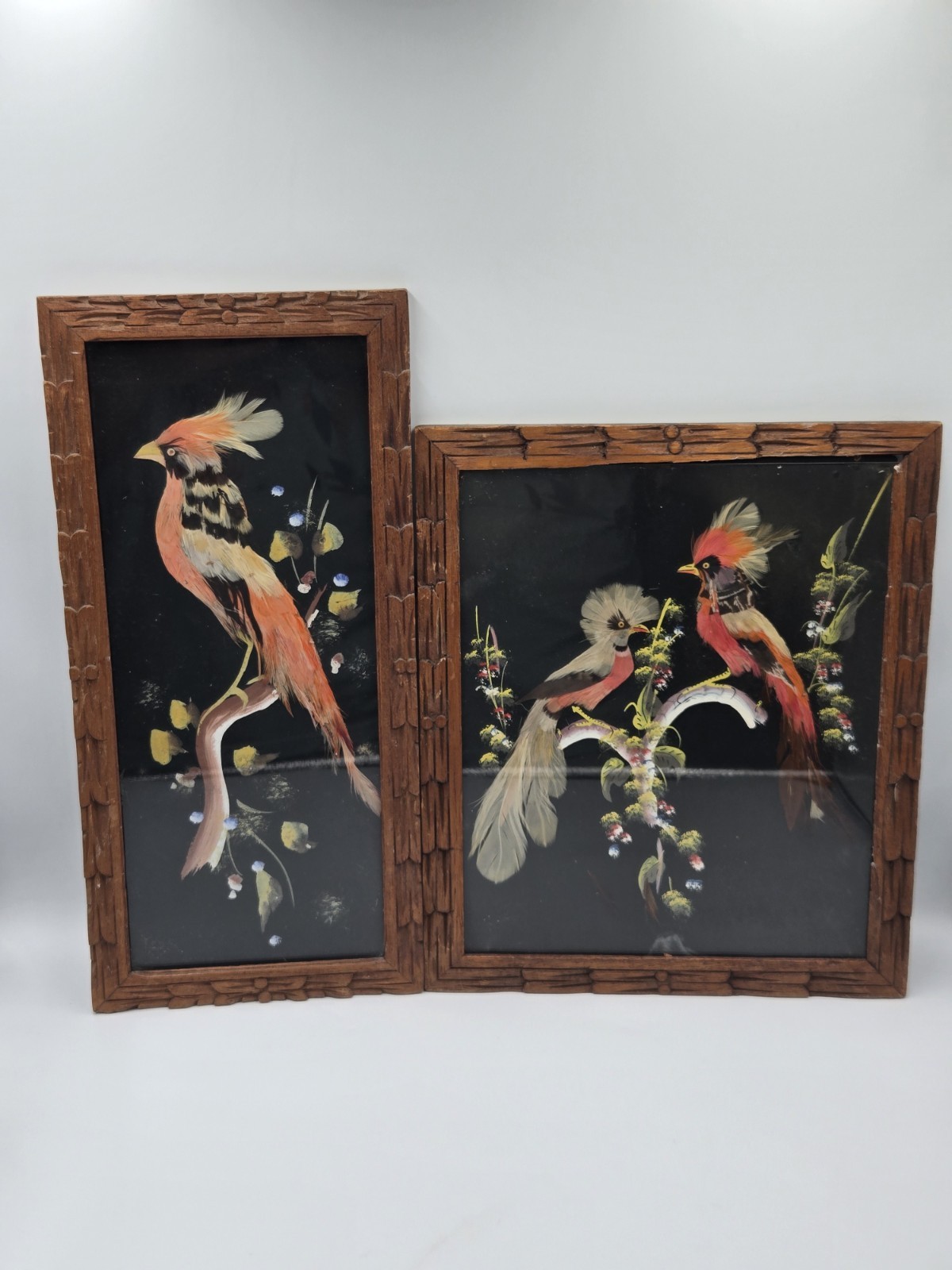 VTG Lrg Pair of Mexican Feathercraft Framed Bird Folk Art Collectible Feather B