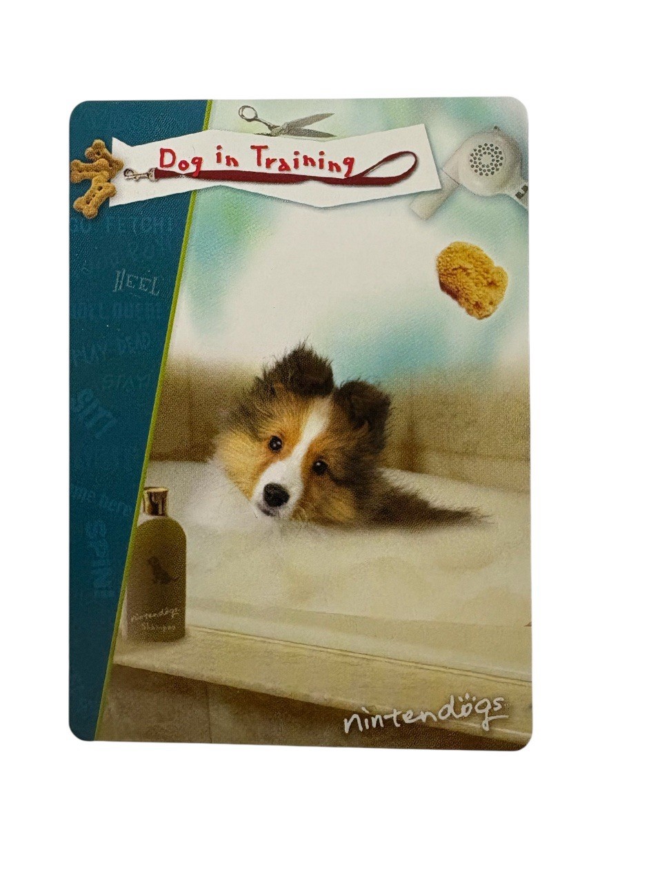 Nintendo Nintendogs Dog in Training #25