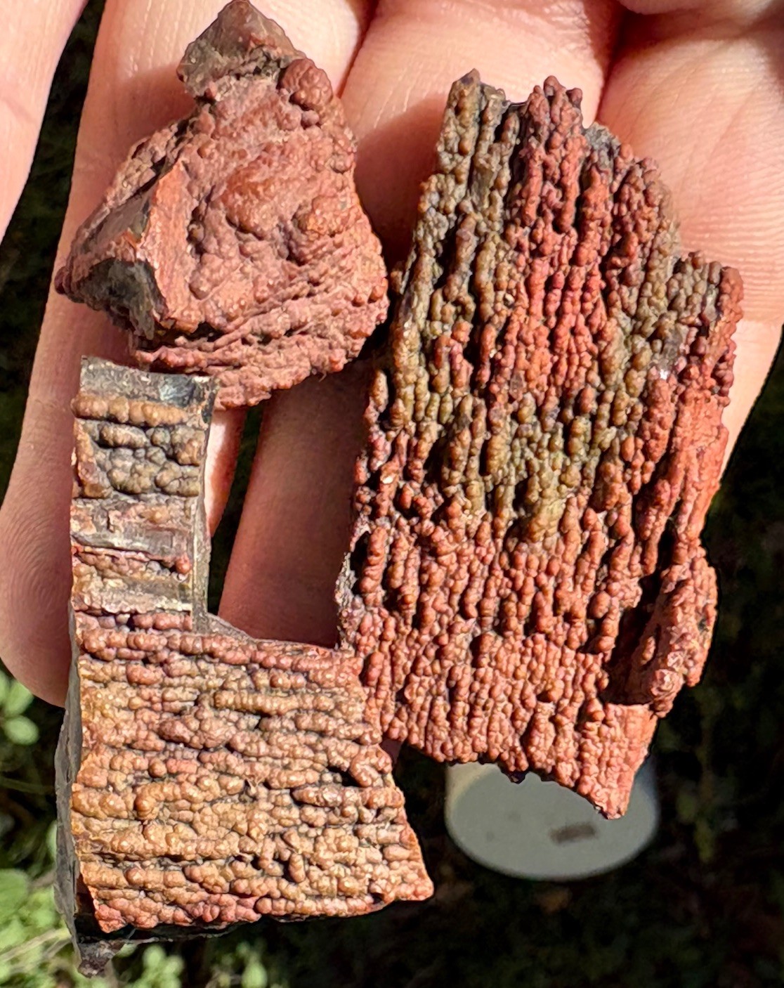 ☘️RR⛏️: 3 Unique PCS Arizona Petrified Wood W/Red/Green Druzy