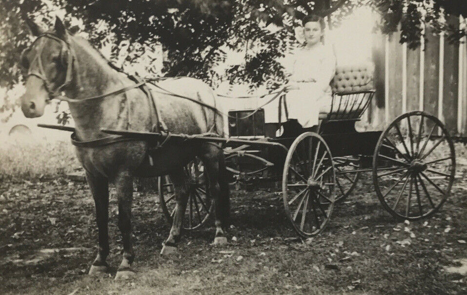 Antique RPPC Horse Drawn Buggy Young Edwardian Woman Large Hair Bow #23