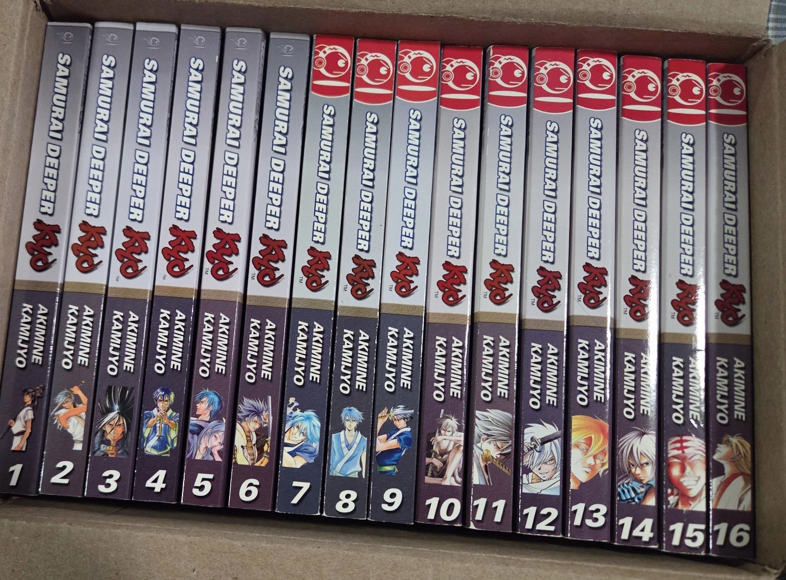 Samurai Deeper Kyo Complete Volumes 1–38 English Manga Lot
