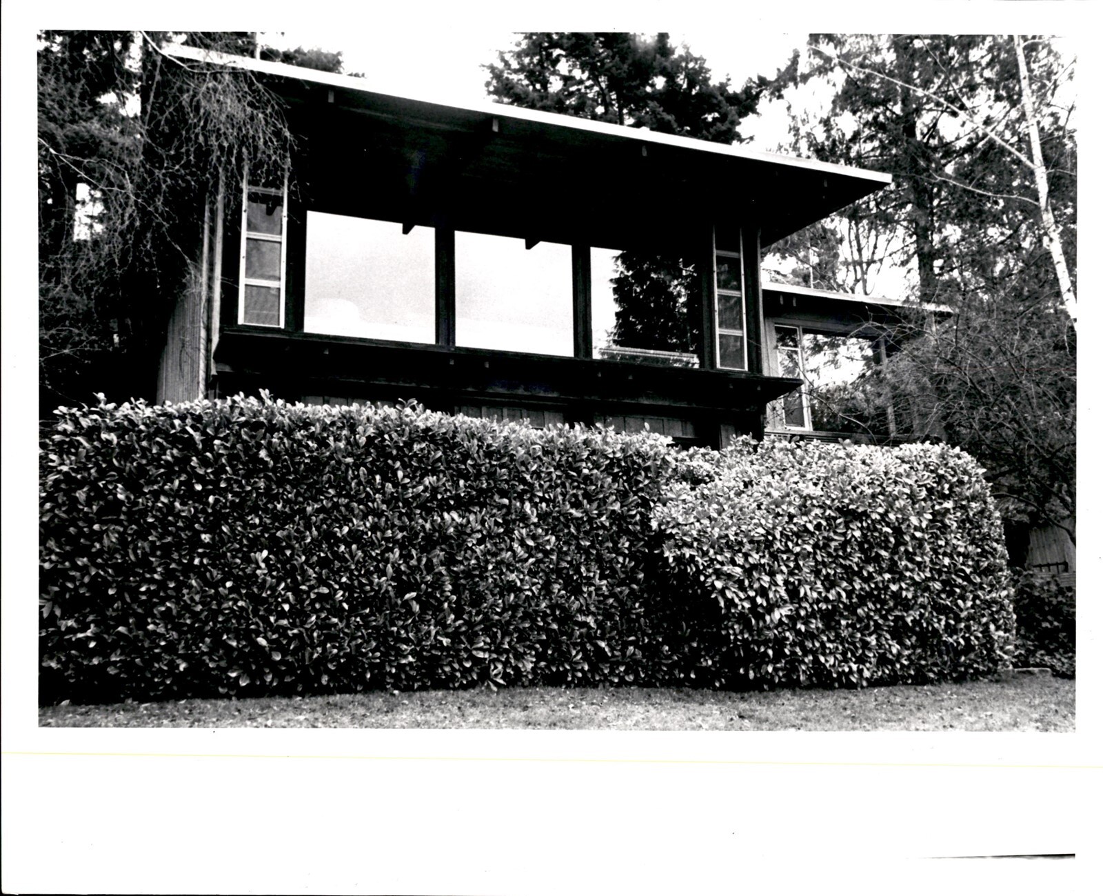 LG32 1975 Original Pete Liddell Photo 1954 HOME OF THE MONTH HONORABLE MENTION