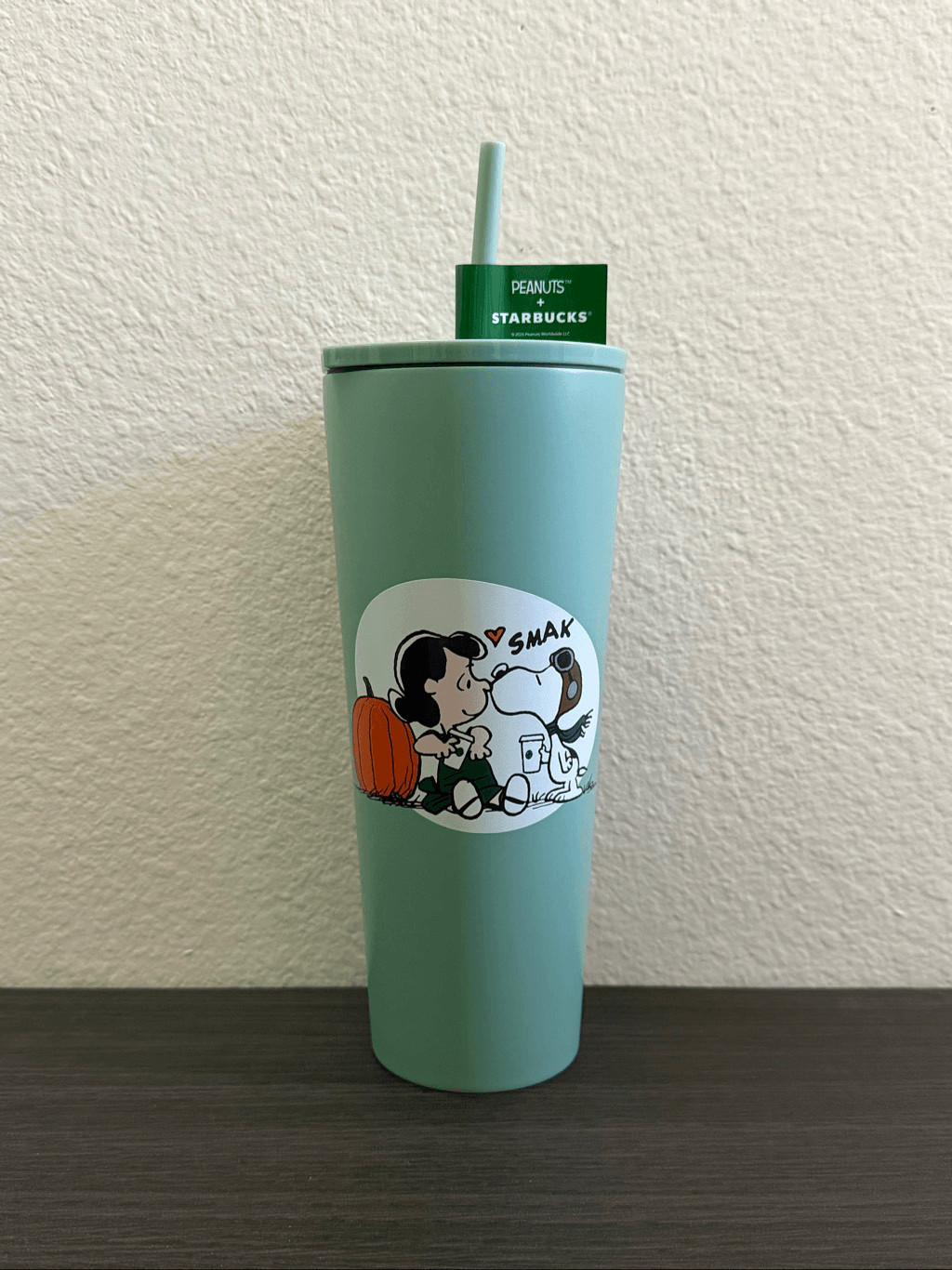Starbucks Peanuts Snoopy Stainless Steel 24 oz Tumbler IN HAND