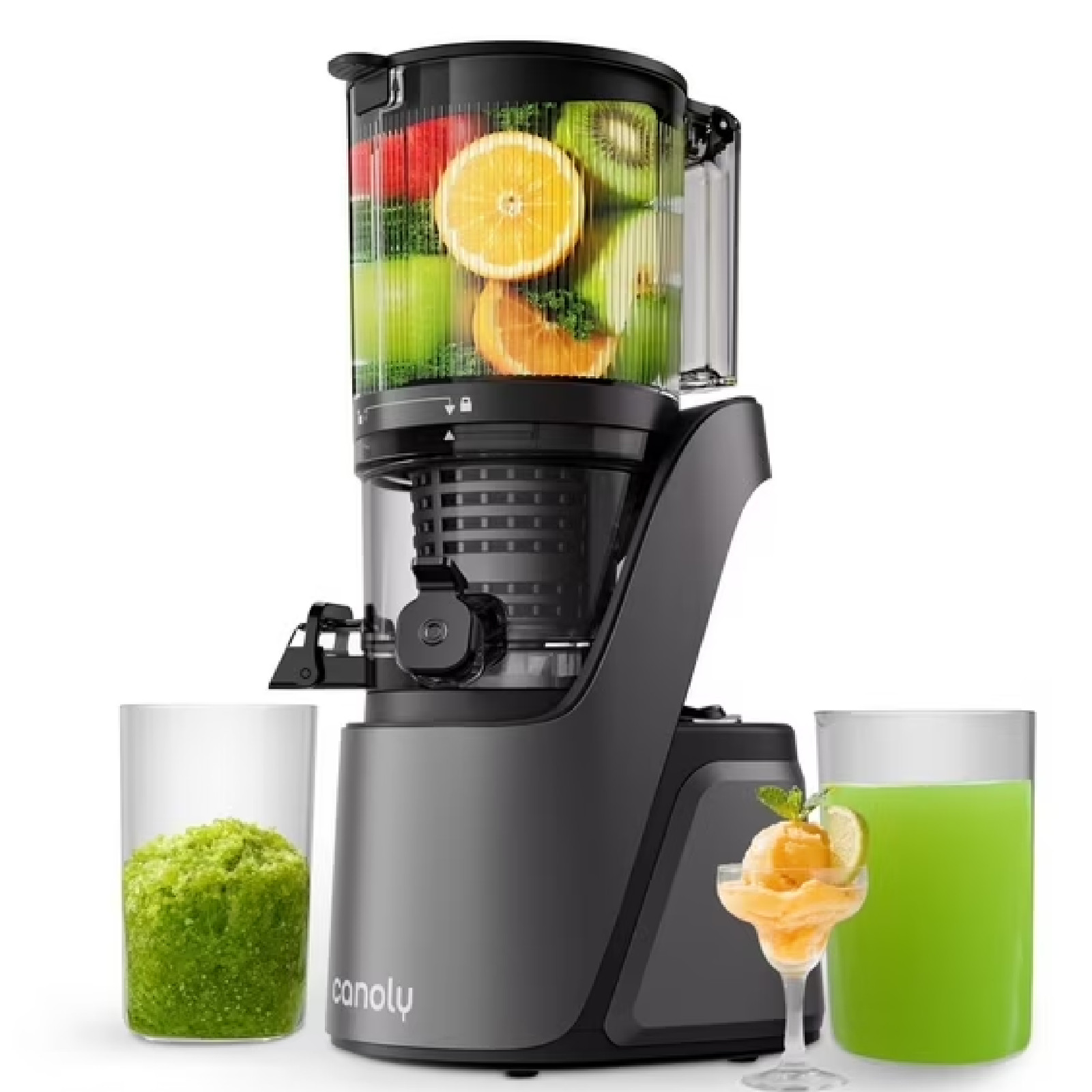 Canoly C16 Cold Press Juicer 250W AC Brushless Motor for Batch Whole Fruit