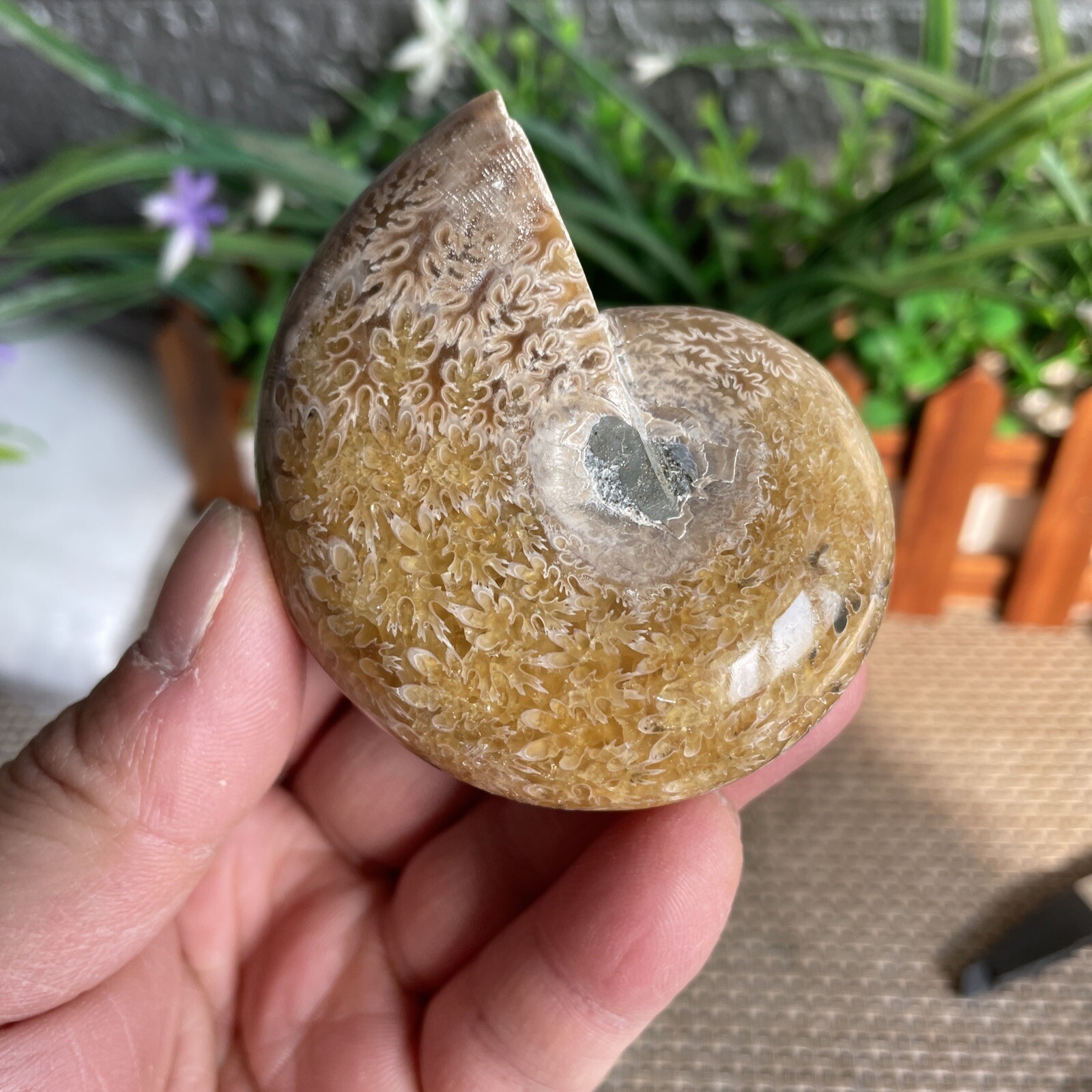 165g PRETTY NATURAL Jade PatternStone sculptor decorationFROM Madagascar A51