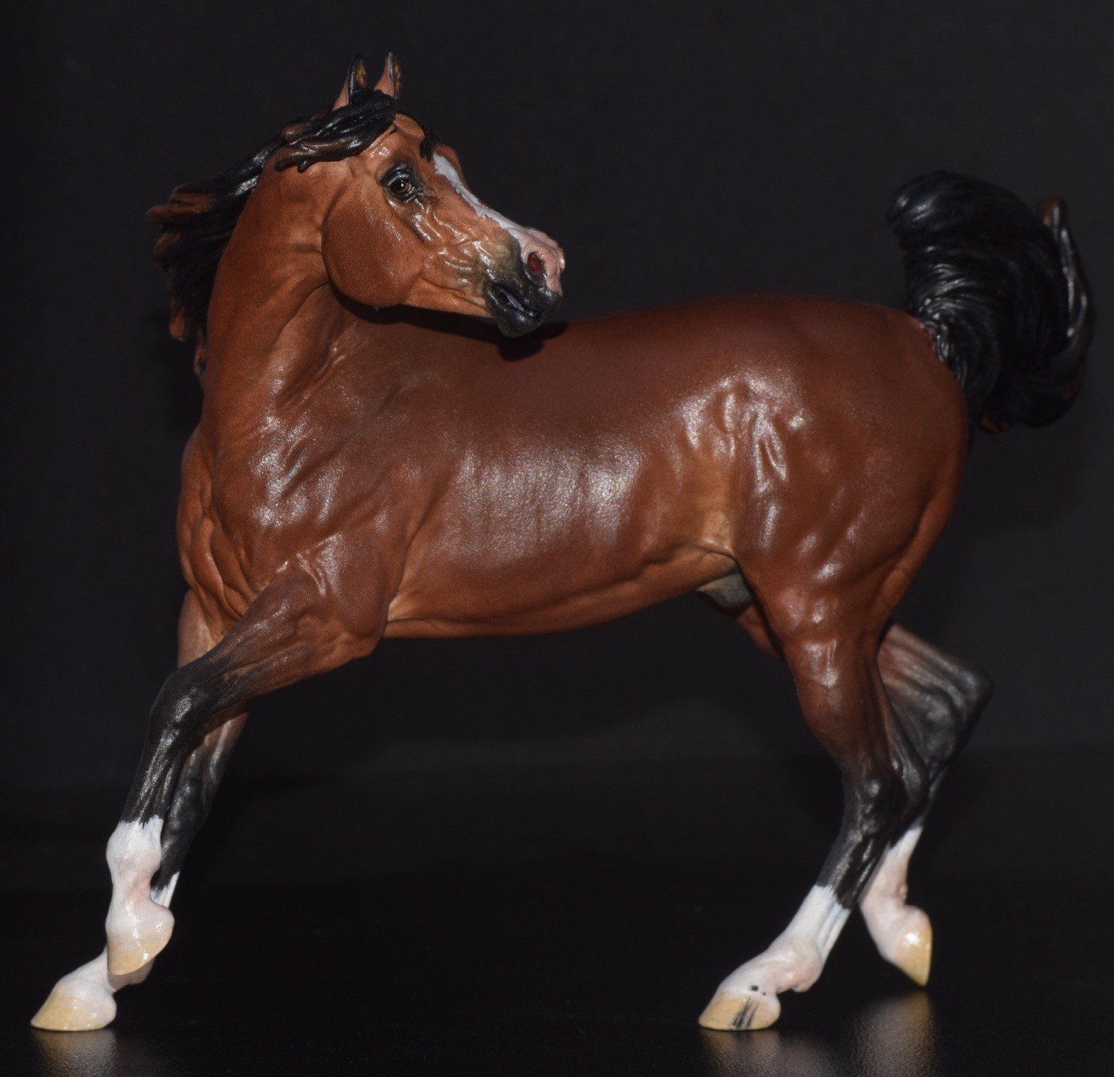 The Suitor Artist Resin Model Horse Venti Scale Bay Arabian Sculpture