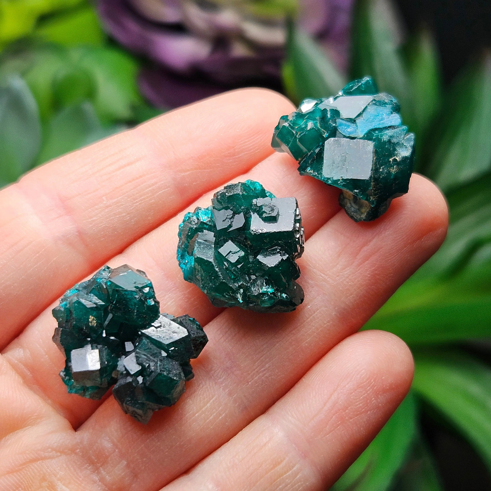 Dioptase Crystal