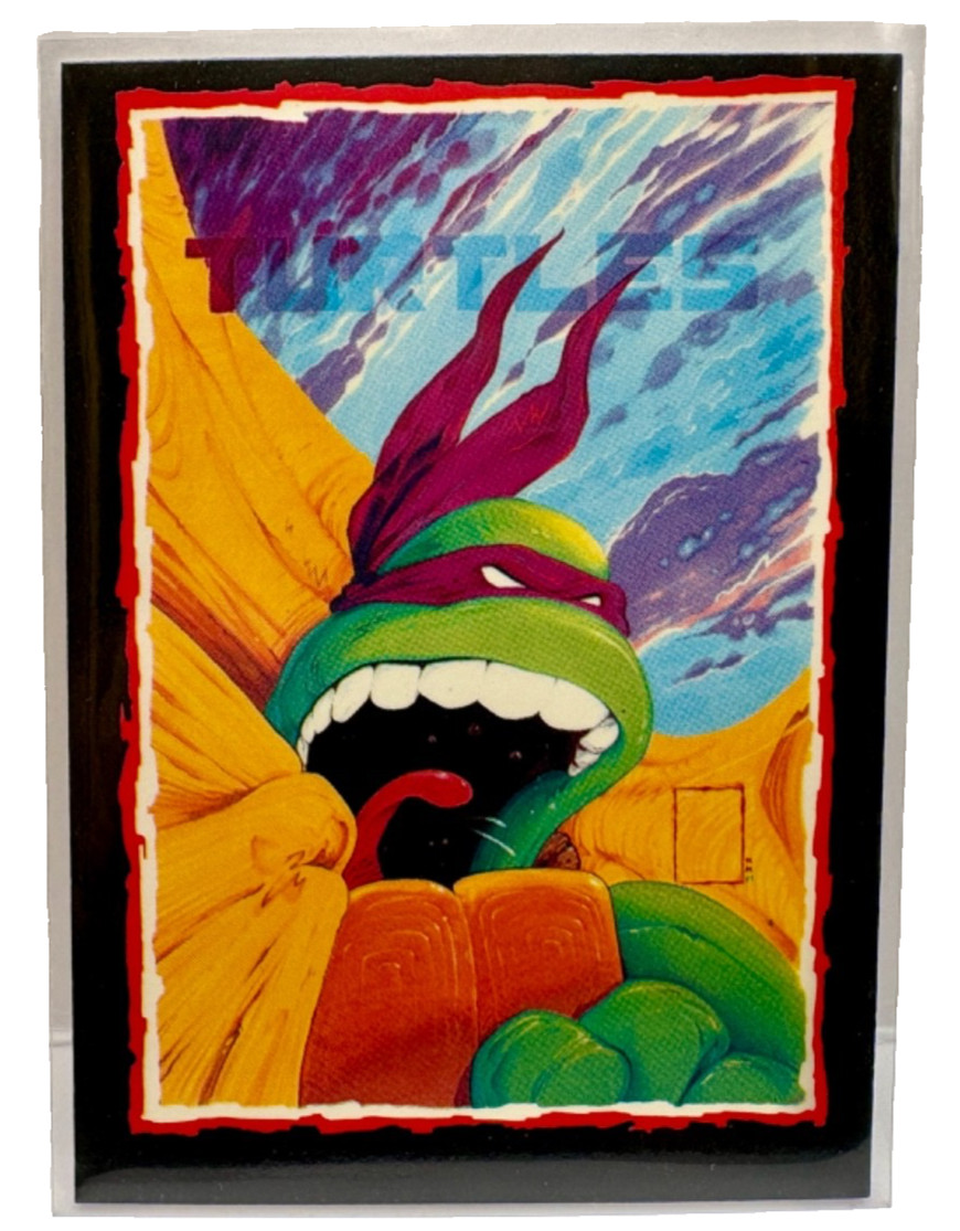 1989 Topps Collector's Edition Bonus Cards: TMNT #A 