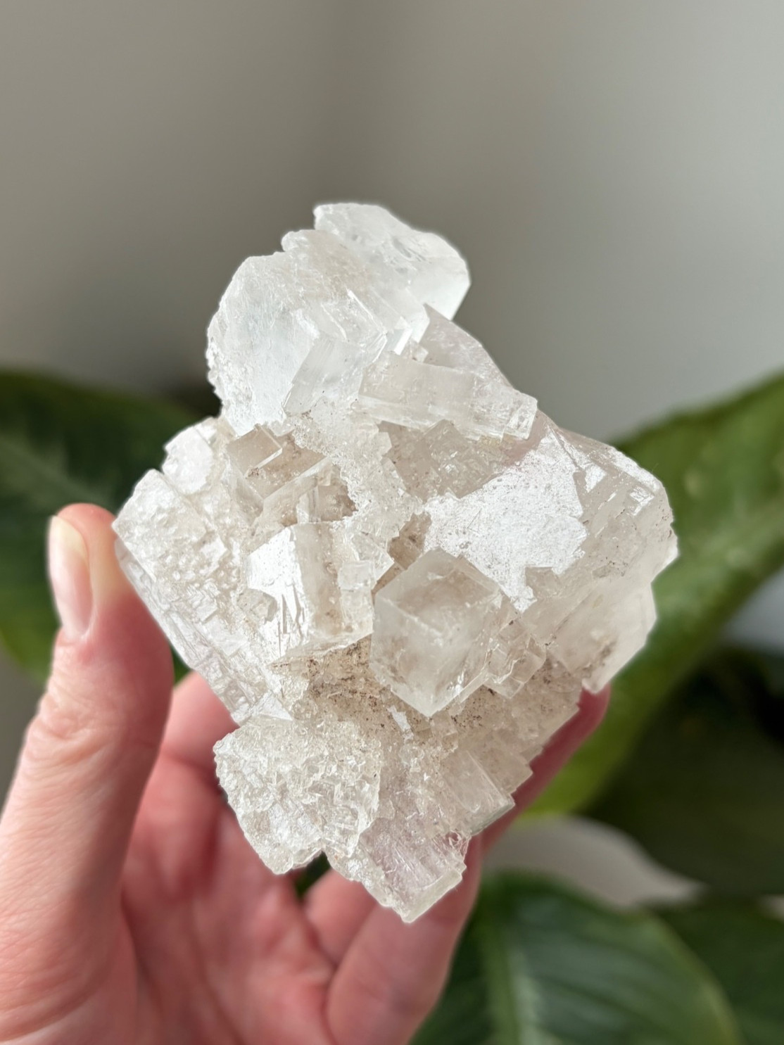 8oz Large Clear Cubic Halite – Sharp Geometric Cube Crystal Cluster  - Morocco
