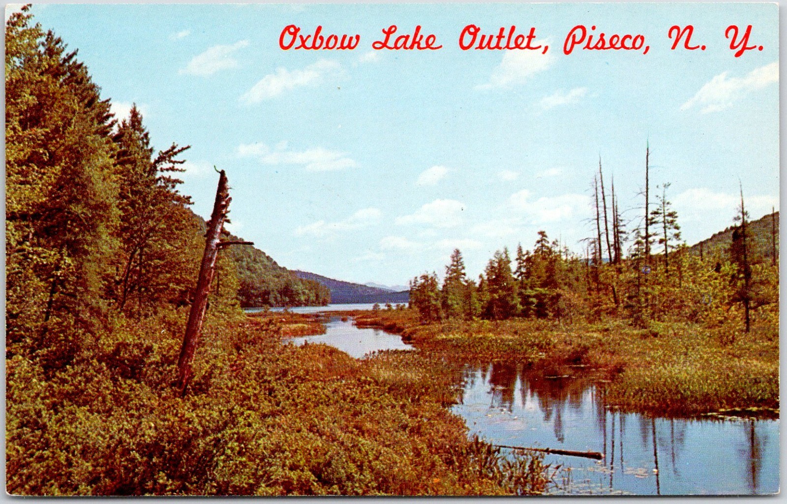 Oxbow Lake Outlet Piseco NY Postcard Adirondacks Scenic View Dexter