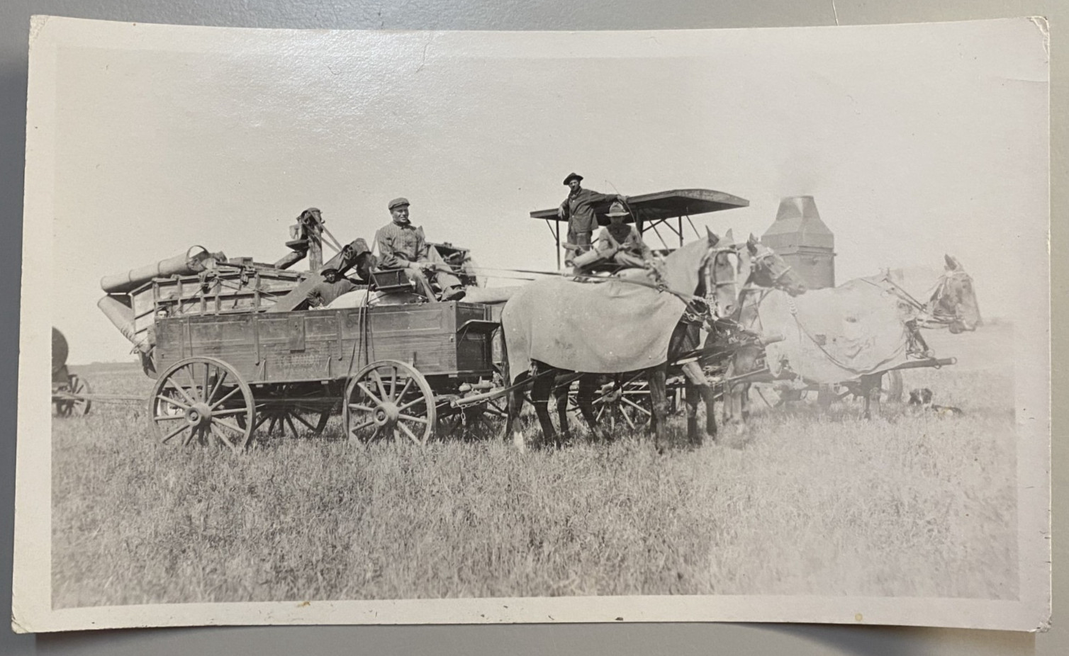VTG RPPC Rumely OilPull Tractor Horse Team Farming Terry Montana MT Postcard