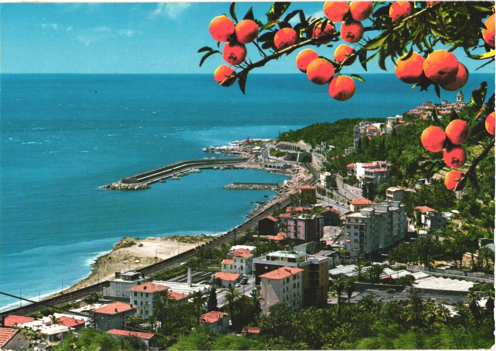 Bordighera Italy Port & Arziglia Region View Chrome Postcard Unused