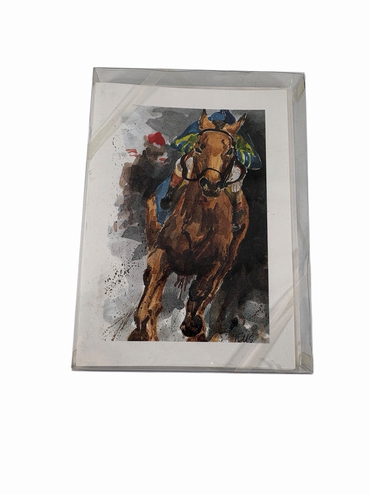 Racehorse Horse Racing, Jockey 12 Blank Note Cards Great For Birthdays Thank You Racehorse Horse Racing, Jockey 12 Blank Note Cards Great For Birthdays Thank You