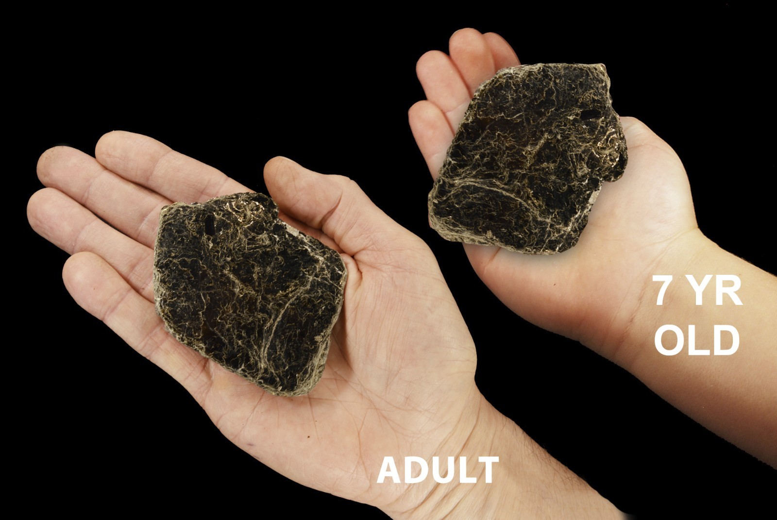 BIOTITE BOOK MICA 2 1/2