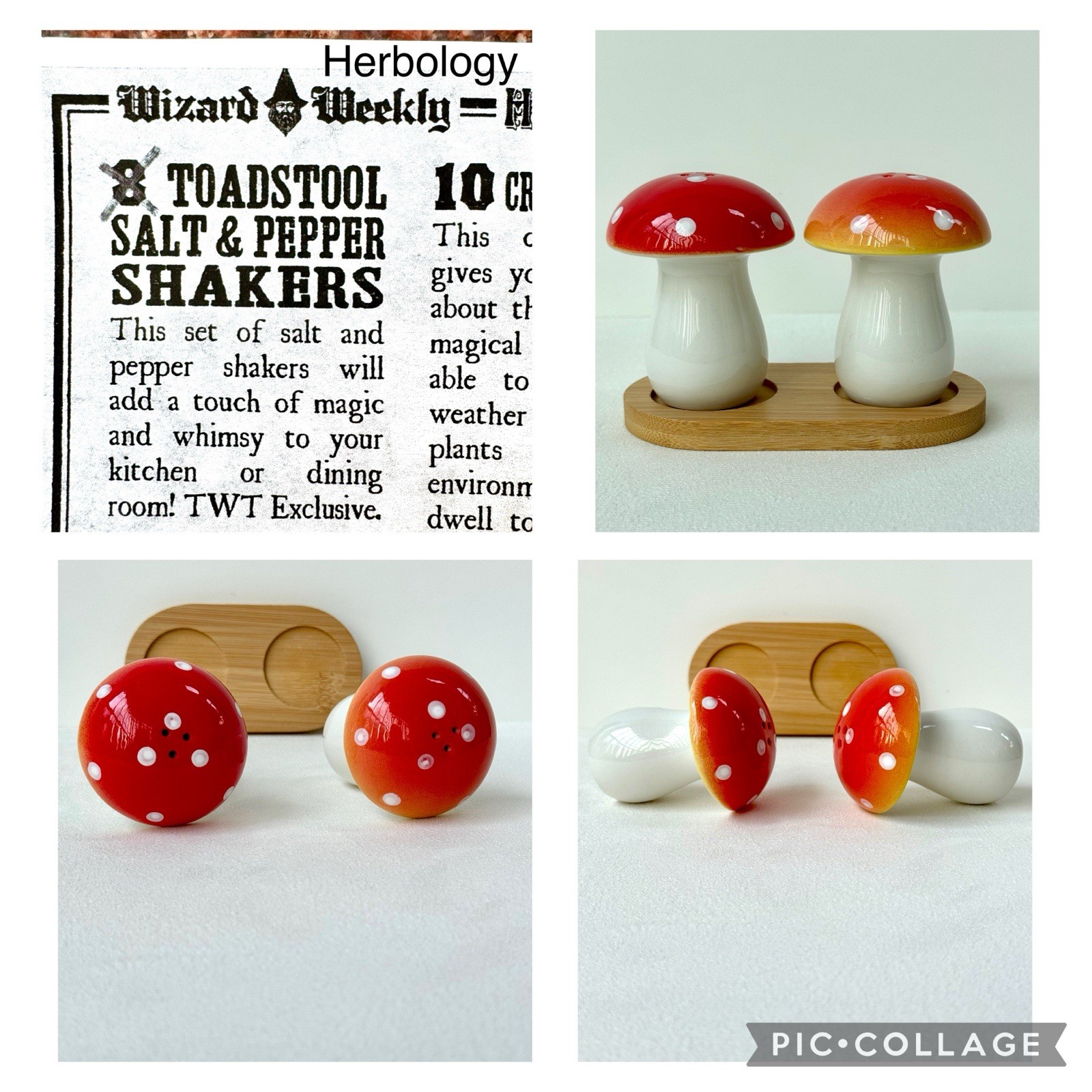 Harry Potter Wizarding Trunk Hogwarts Herbology Toadstools SALT & PEPPER SHAKERS