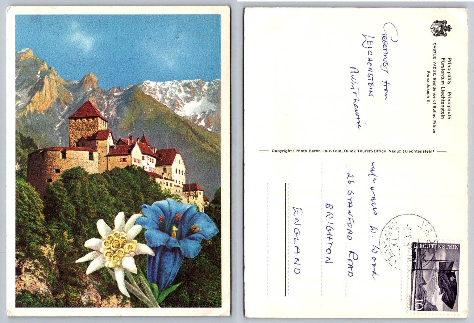 Vaduz Castle Liechtenstein Postcard - Edelweiss Gentian Flowers 1950 Posted