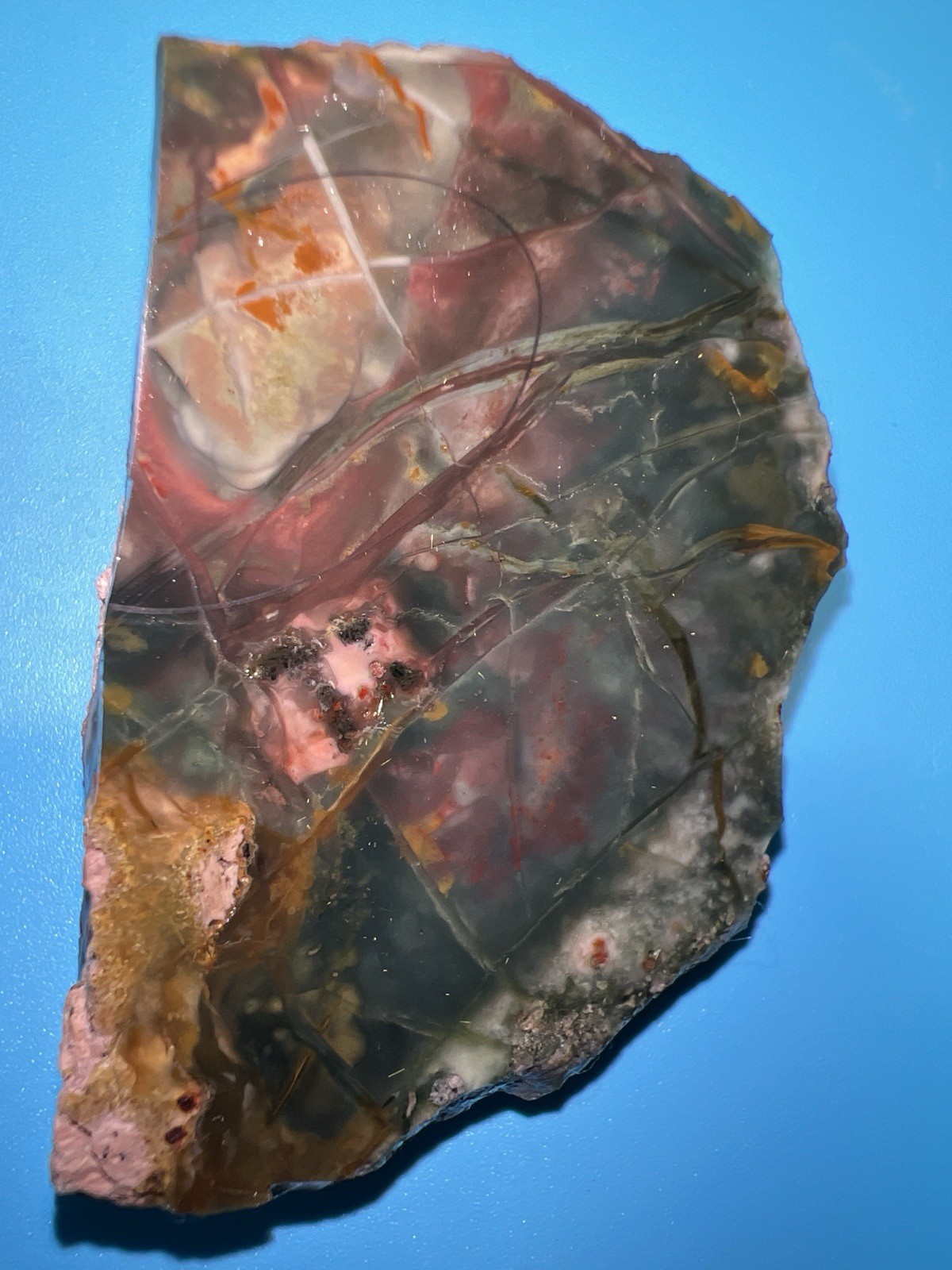 Green Bruneau Jasper Mini Slab 54g Cab Rough From Idaho Gem Show