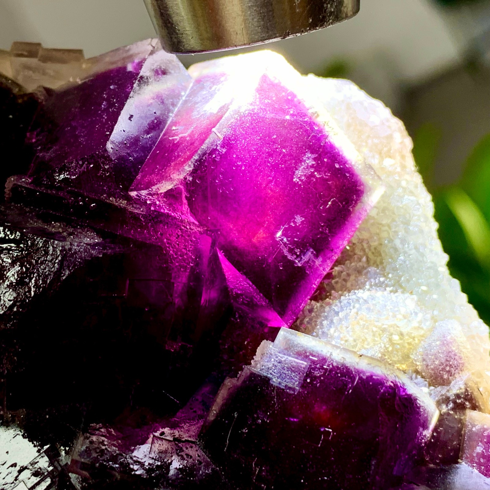 1.13LB Natural Crystal Rare transparent purple cubic fluorite sample/China
