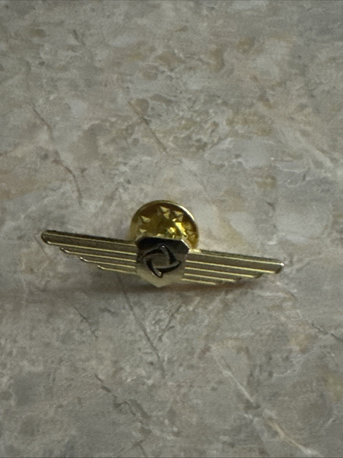 aviation pilot wings pin