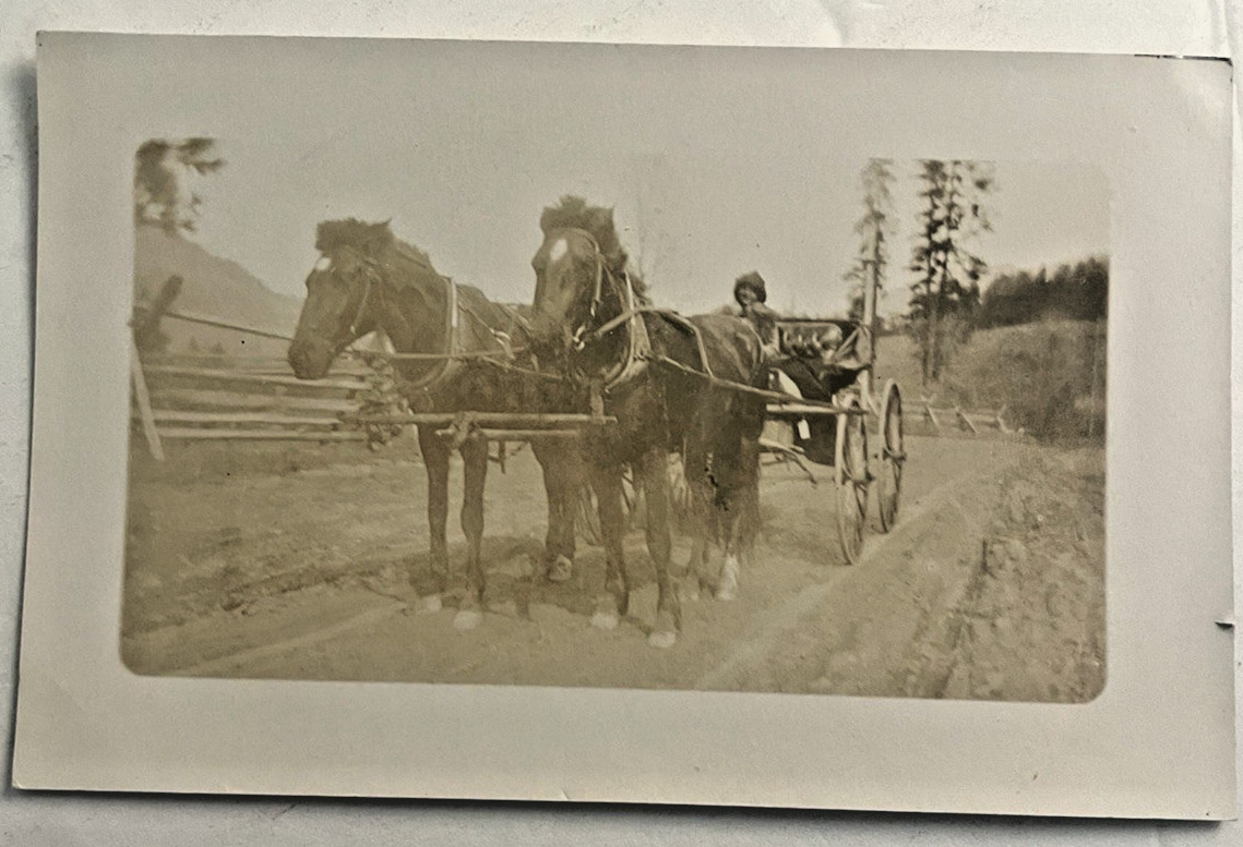 Vintage RPPC Real photo postcard little girl on horse drawn buggy