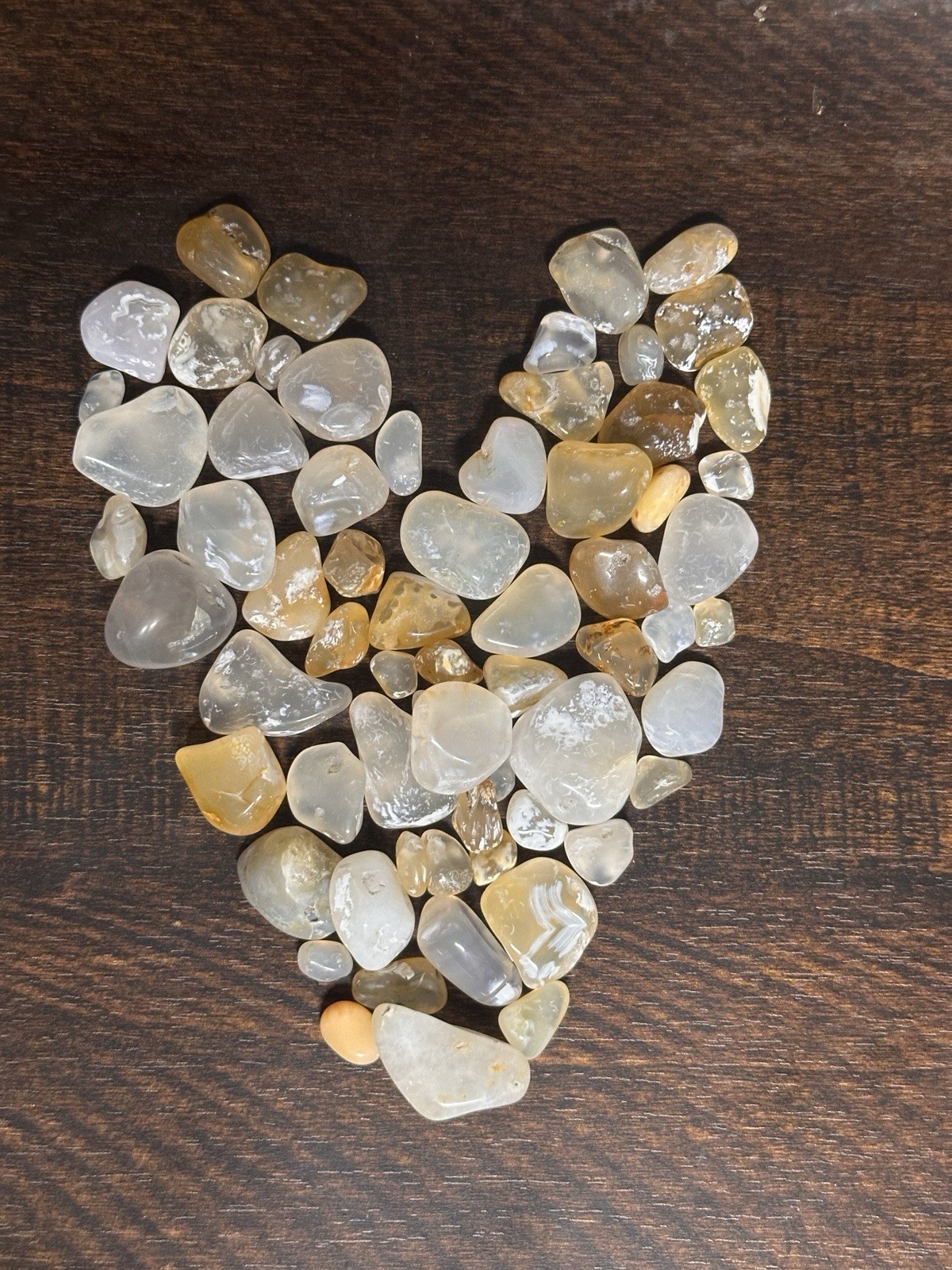 Beautiful Coastal Beach Agates & Unique Stones 60+ PNW Gemstones