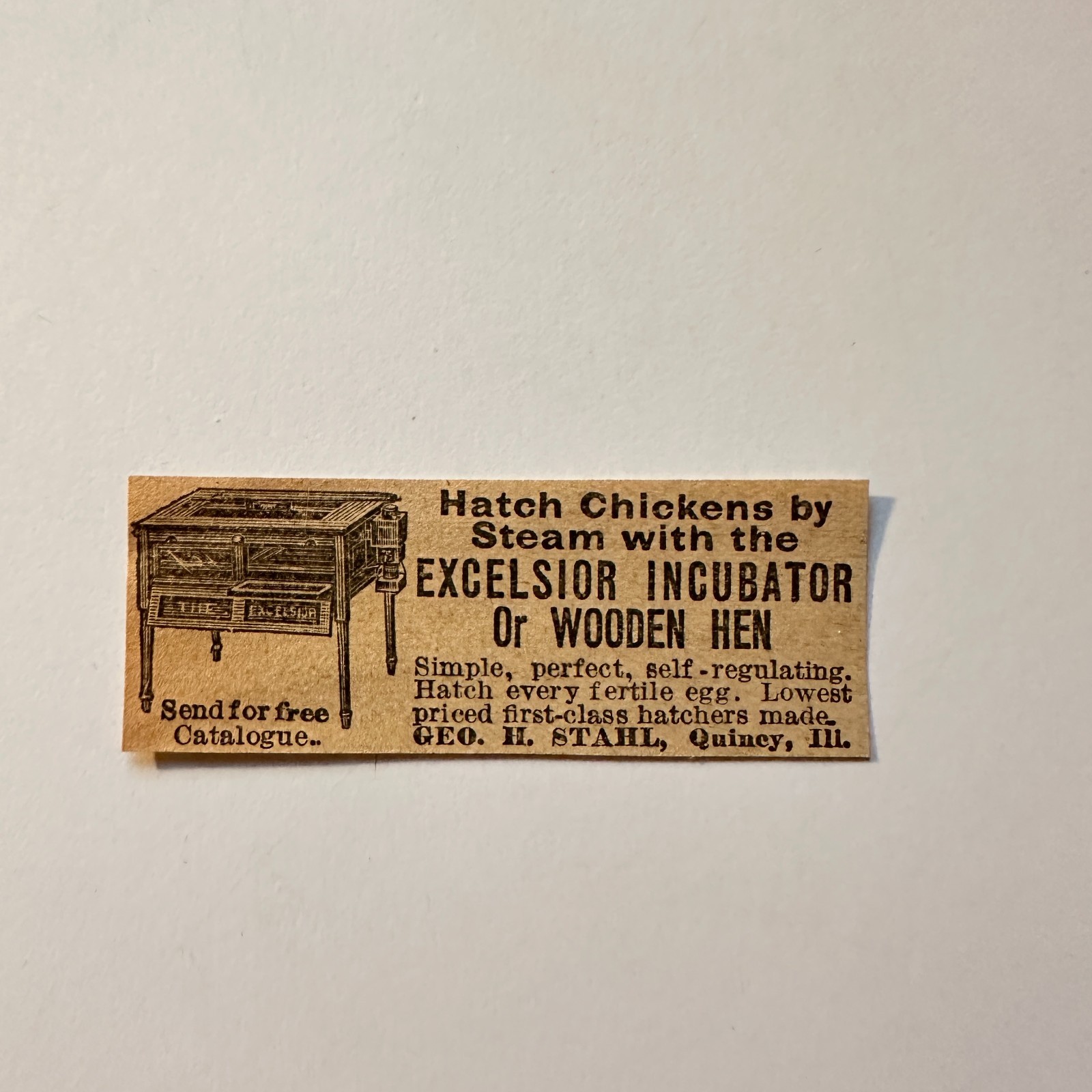 Geo. H. Stahl Hatch Chicken By Steam Quincy IL 1906 Minneapolis Ad 5AL1-S20