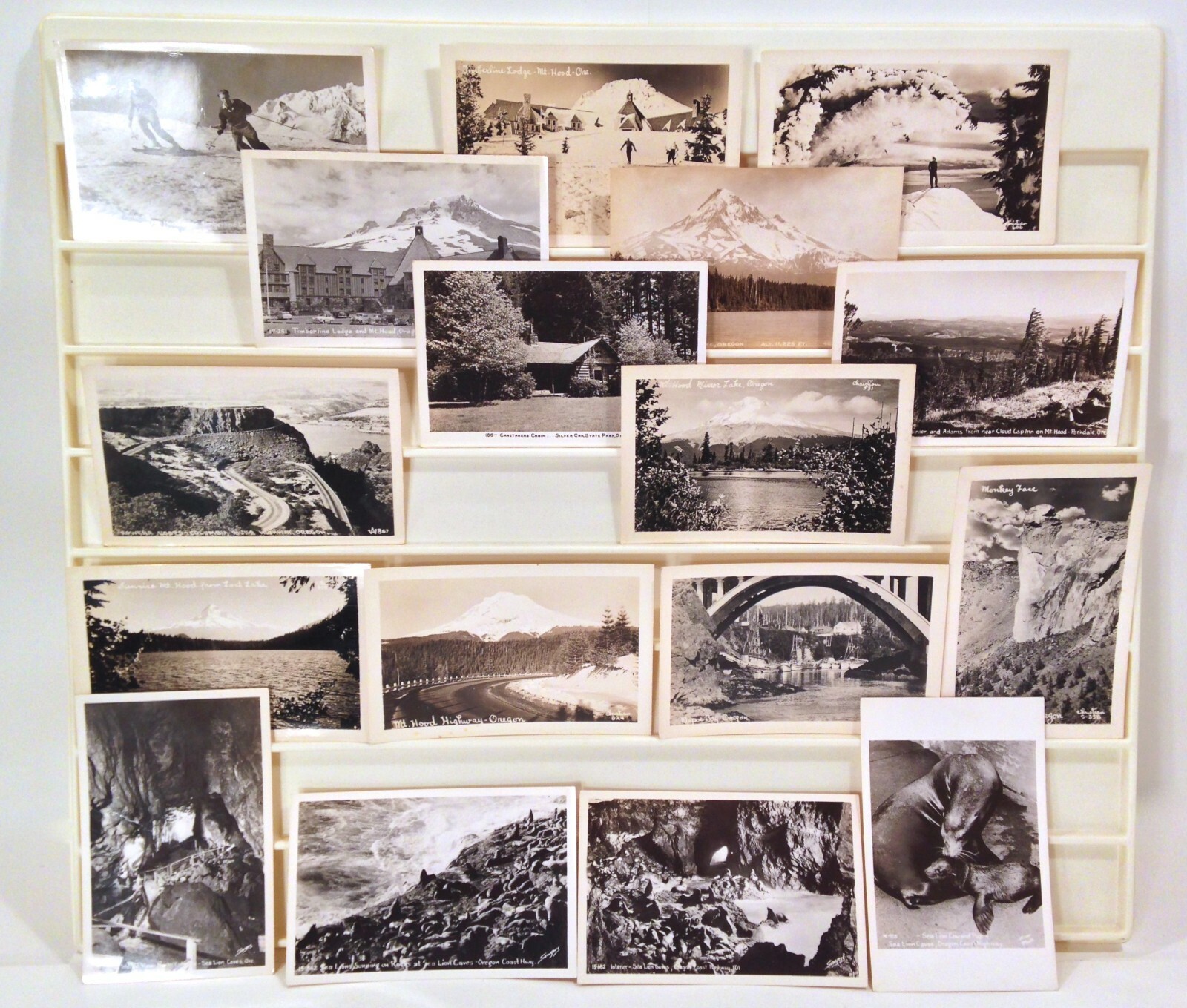 Vintage Lot  Of 17 Oregon RPPC Postcards Mt Hood Skiing Roadway Views Sea Lions