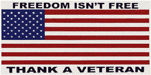 Freedom Isn\'t Free Thank A Veteran Decal Vinyl Bumper Sticker (3.75\