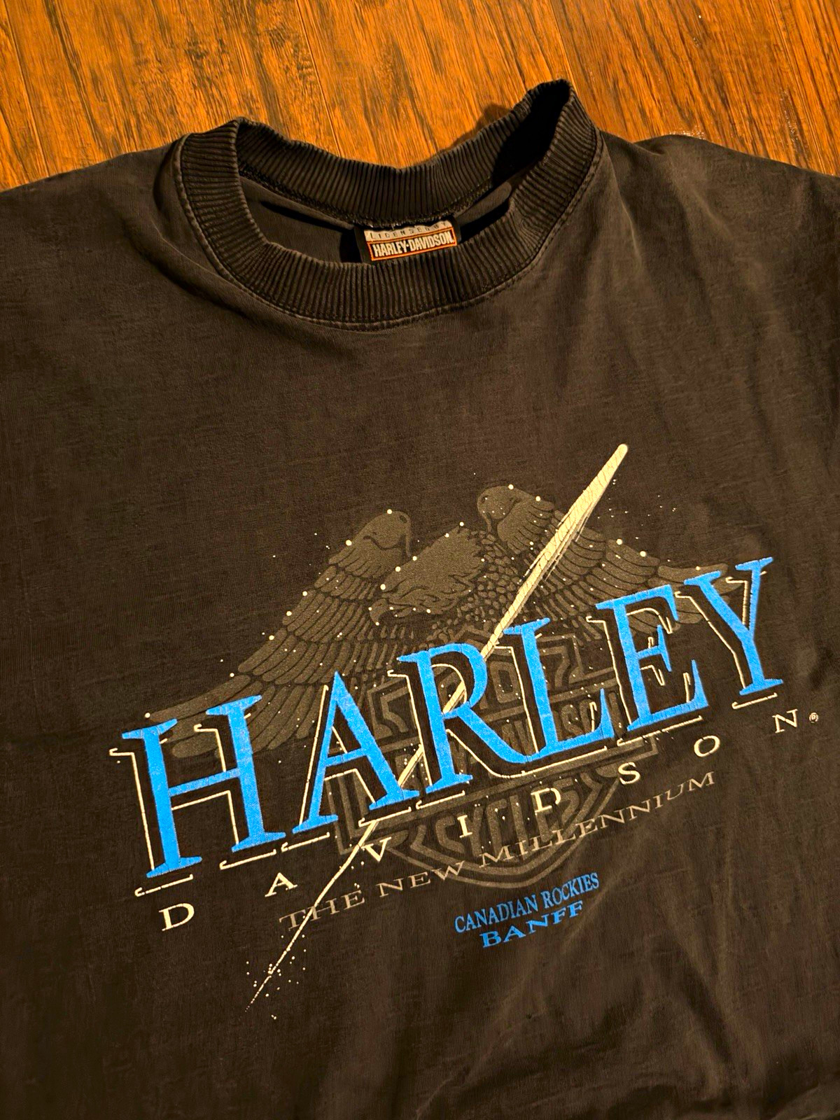 Vintage 90s Harley Davidson Single Stitch T-Shirt Canadian Rockies Banff XL